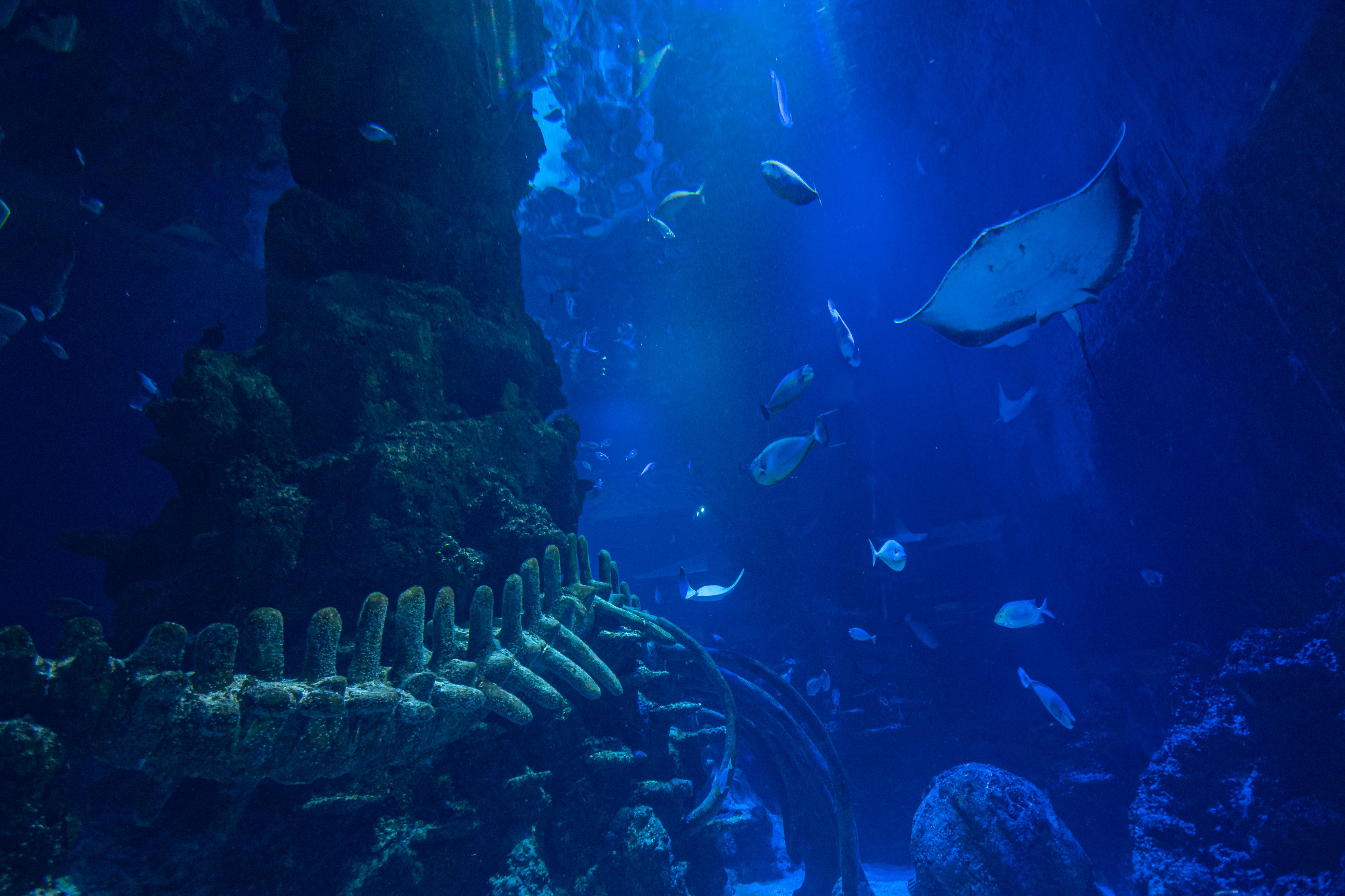 Whole Venue - yijat4nzcln.jpg