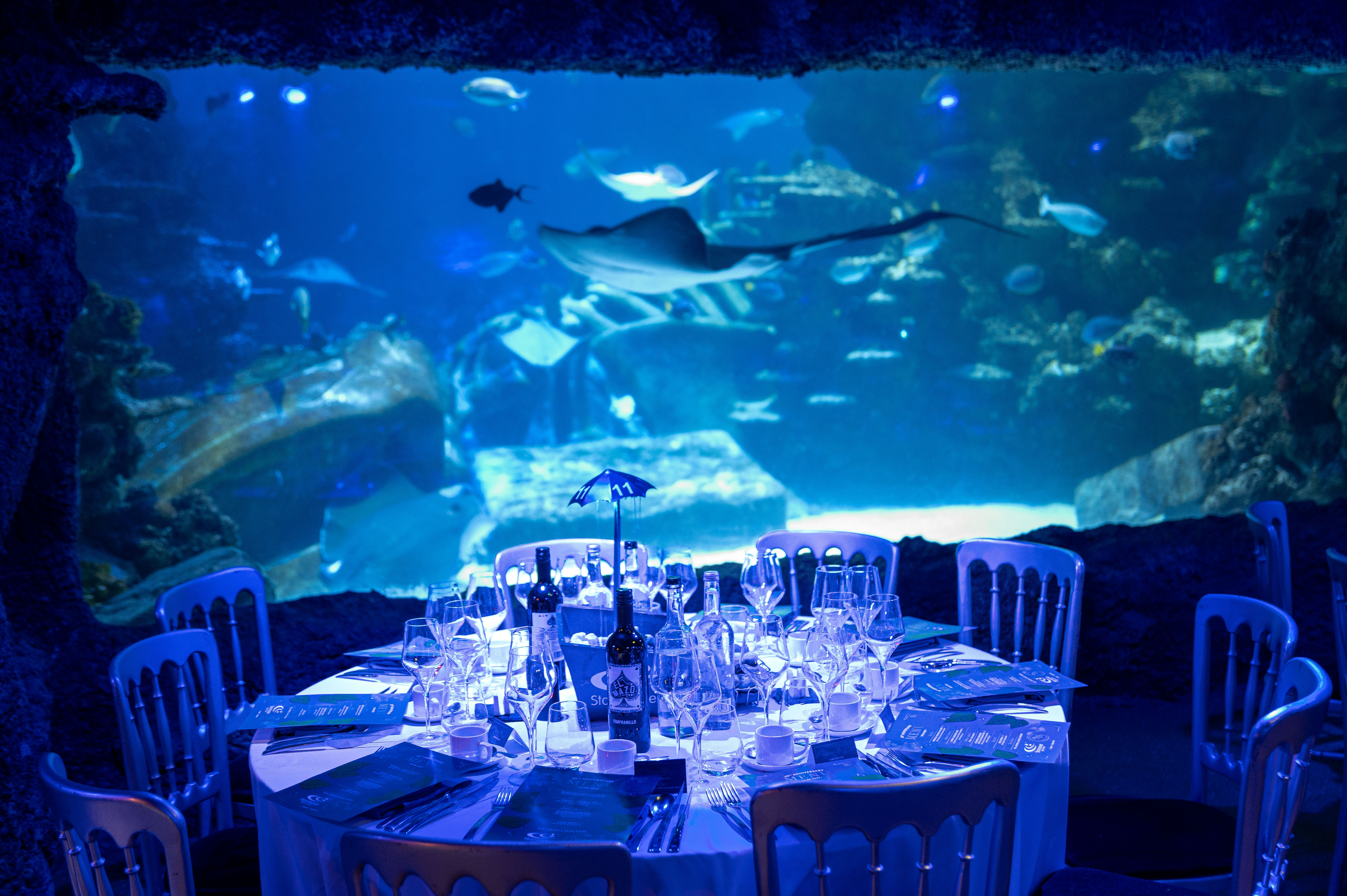Underwater dining setup at SEA LIFE London Aquarium for corporate events and weddings.