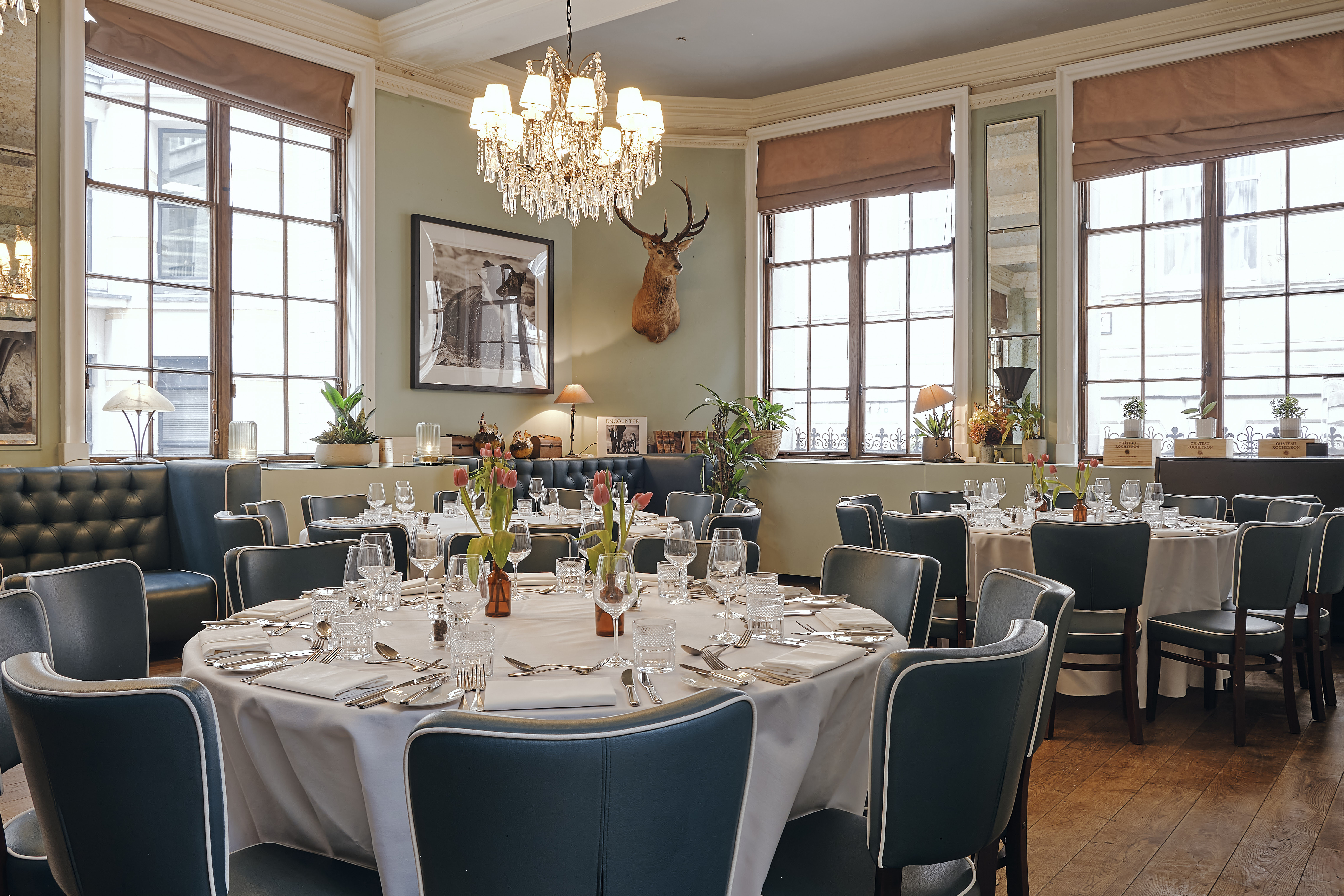 1776 - t0422dt41x1.jpg