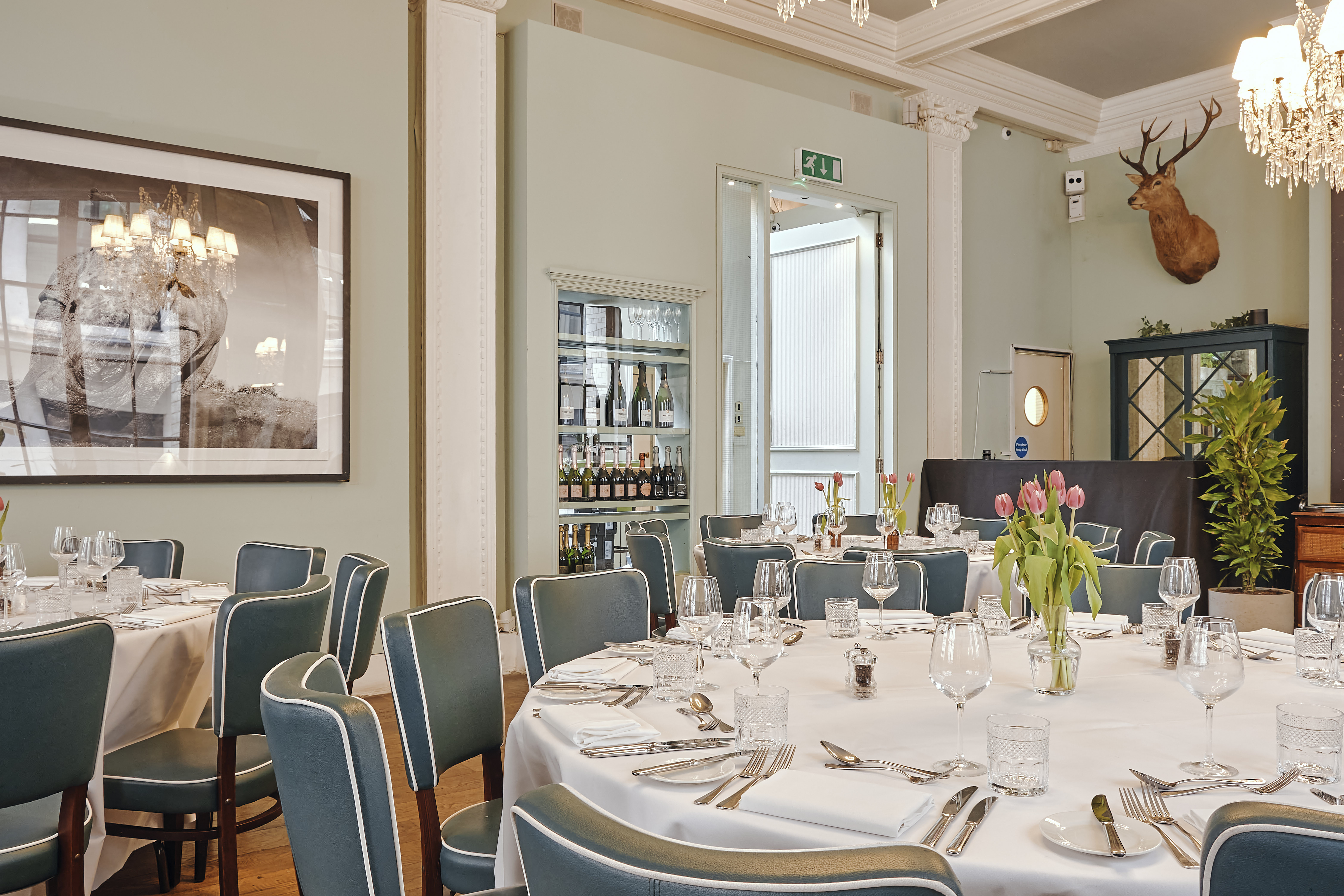 1776 - yuzhzmcbhtq.jpg