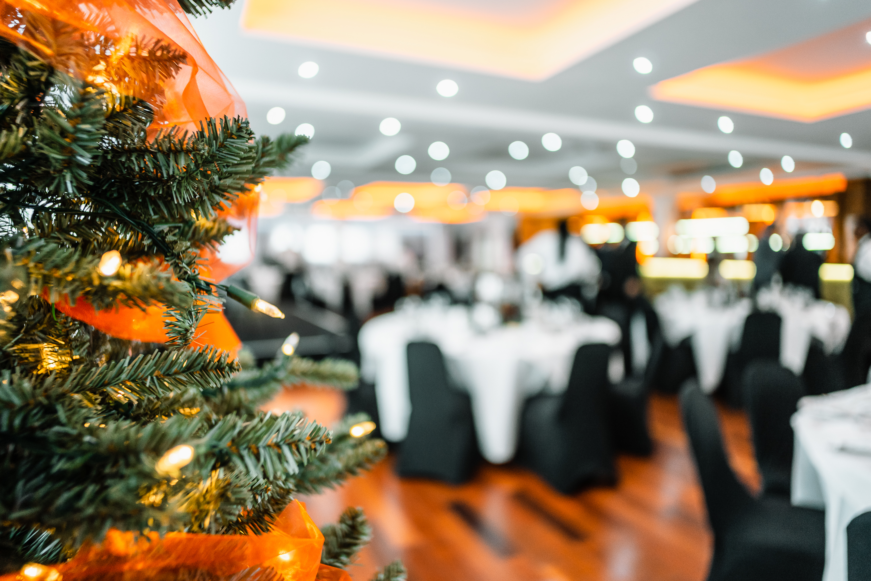 Stanley Stephenson Lounge at Selhurst Park, festive tree, ideal for corporate events.