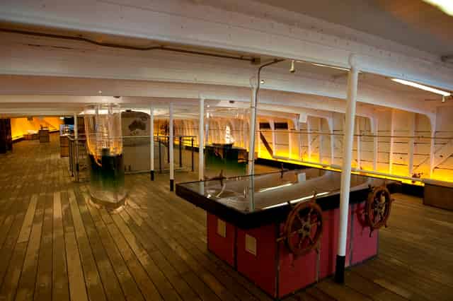 Tween Deck
