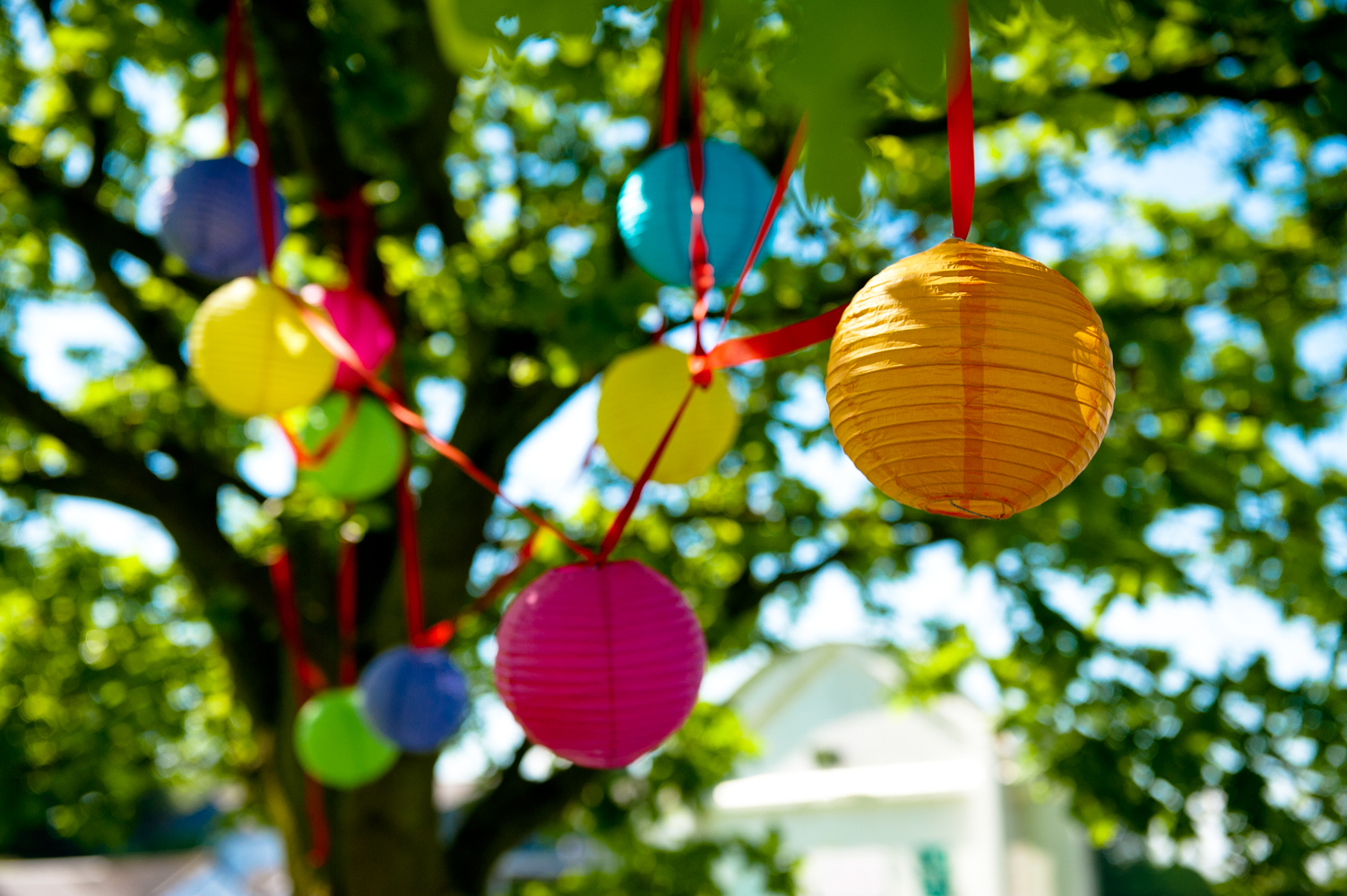 Vibrant paper lanterns in tree at Ravens Ait Island for festive outdoor events.