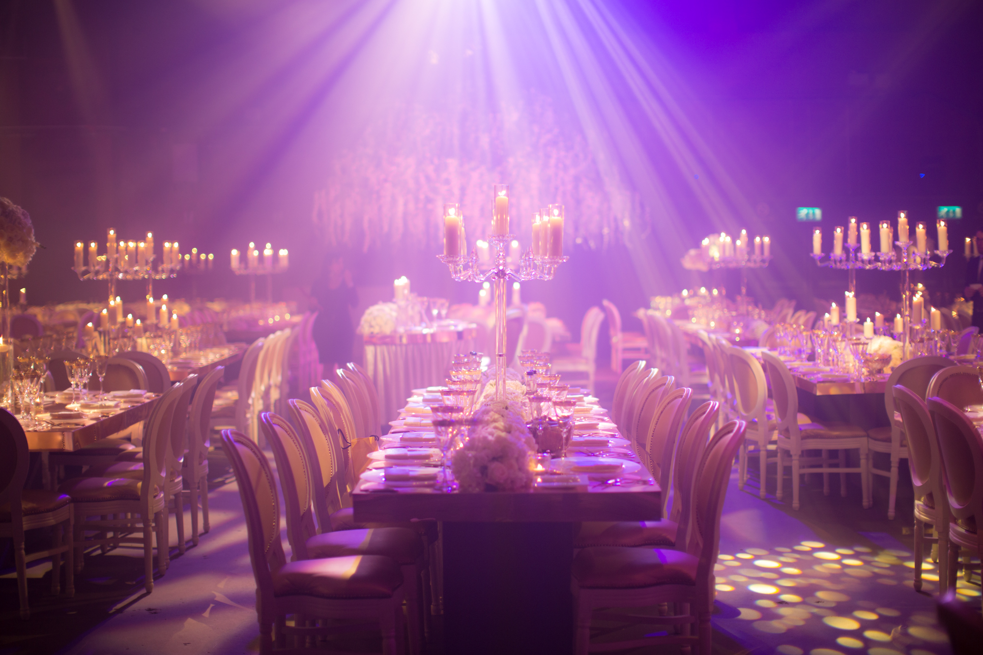 The Bays - omgpqlcce1g.jpg