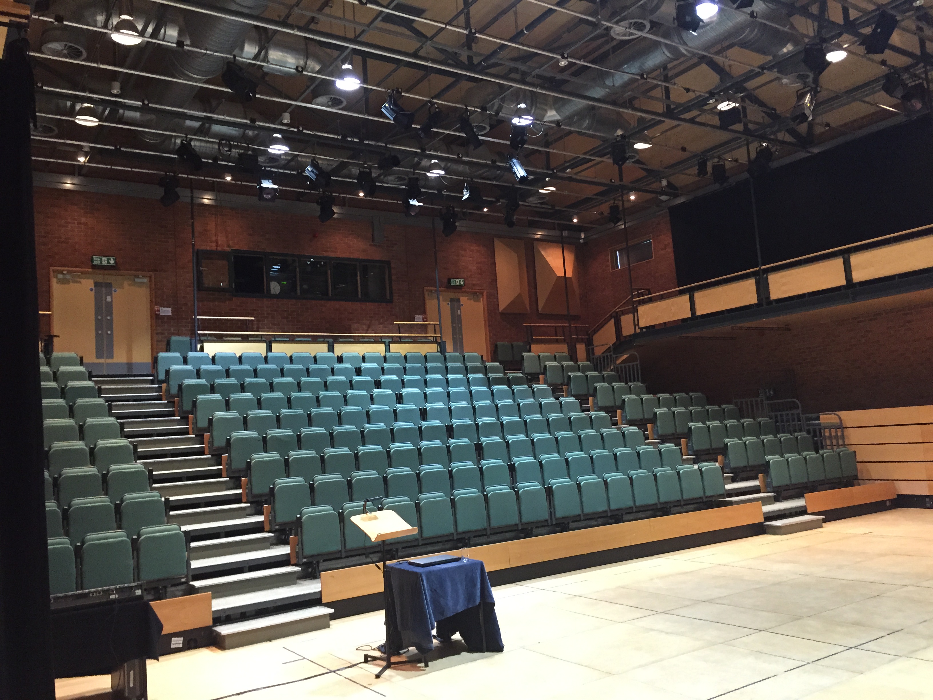 Ellis Theatre auditorium with tiered seating, ideal for conferences and performances.