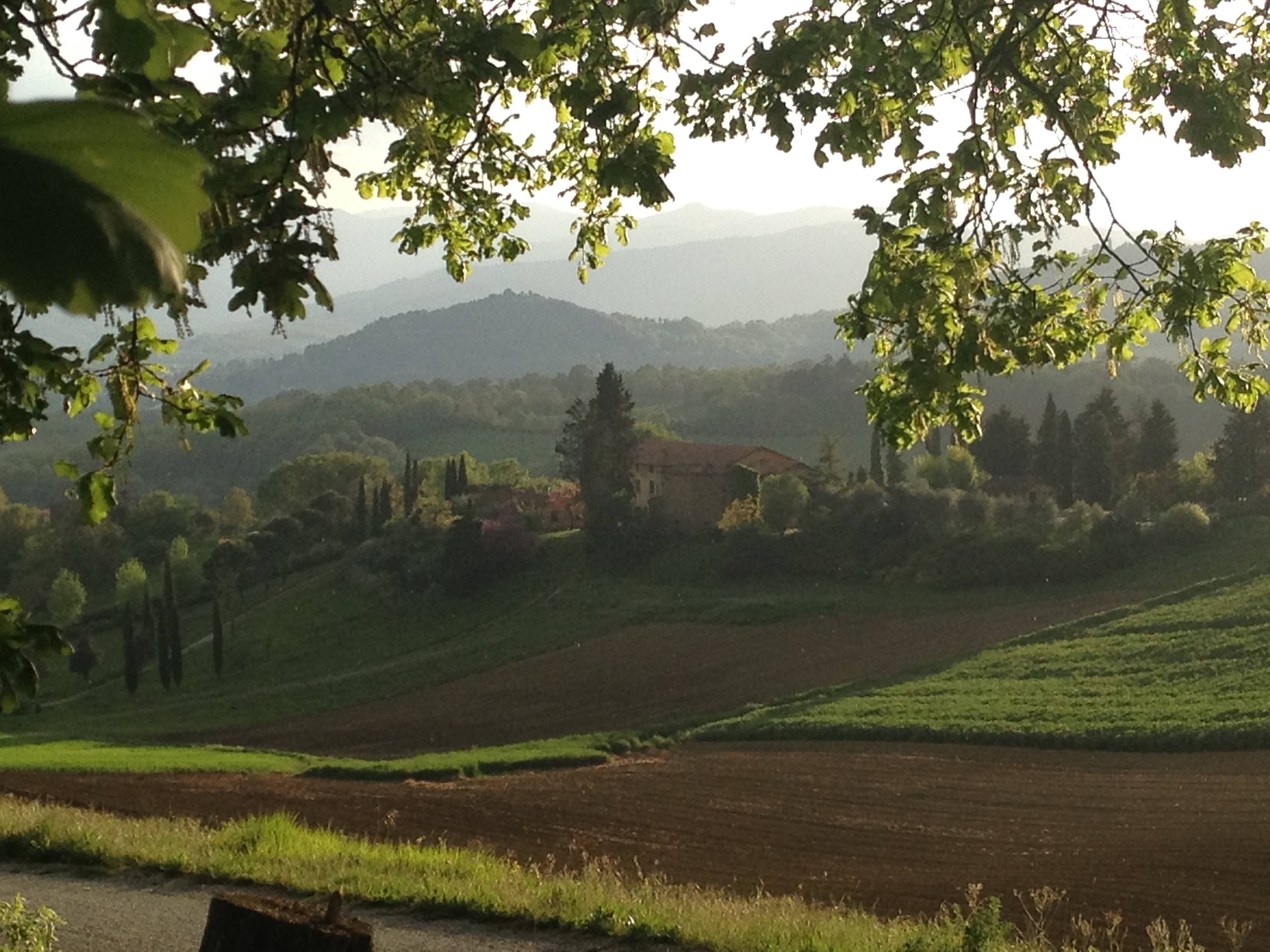 Villa of the Angels in Tuscany, lush greenery ideal for retreats and outdoor events.