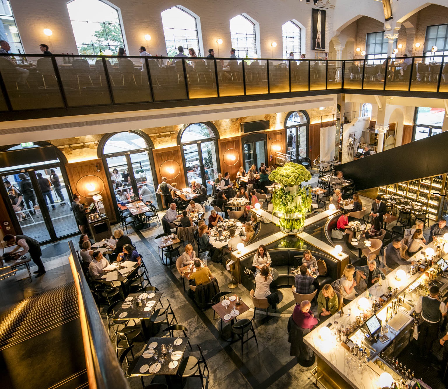 Whole Venue in German Gymnasium with lush plants, perfect for events and meetings.