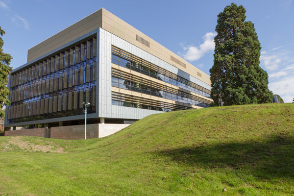 Modern auditorium with large windows, perfect for events in a lush green setting.