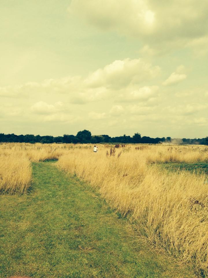 Camping Meadow with tall grasses, perfect for outdoor events and team-building activities.