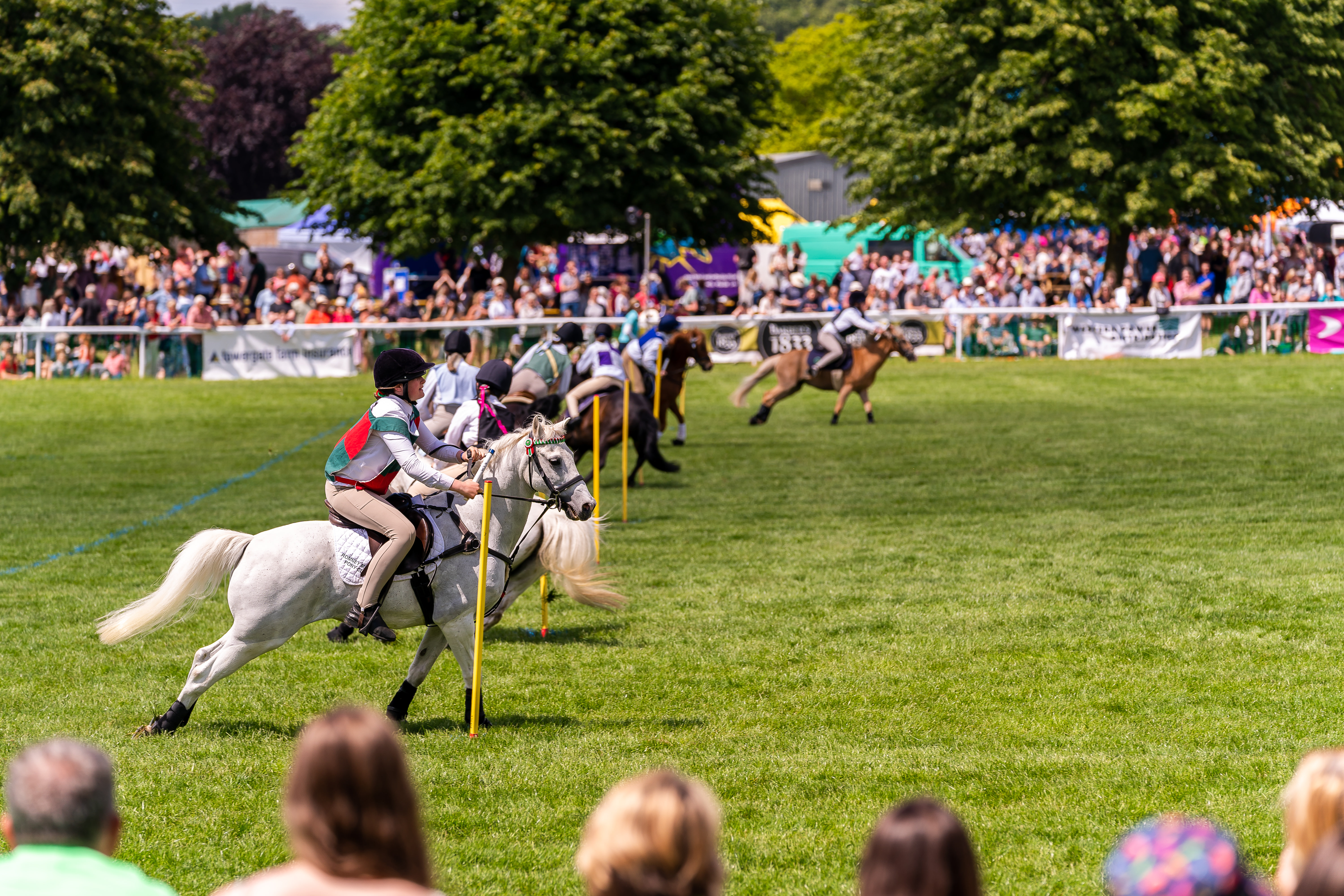 Lively equestrian event at Bath & West Showground, perfect for outdoor festivals and networking.