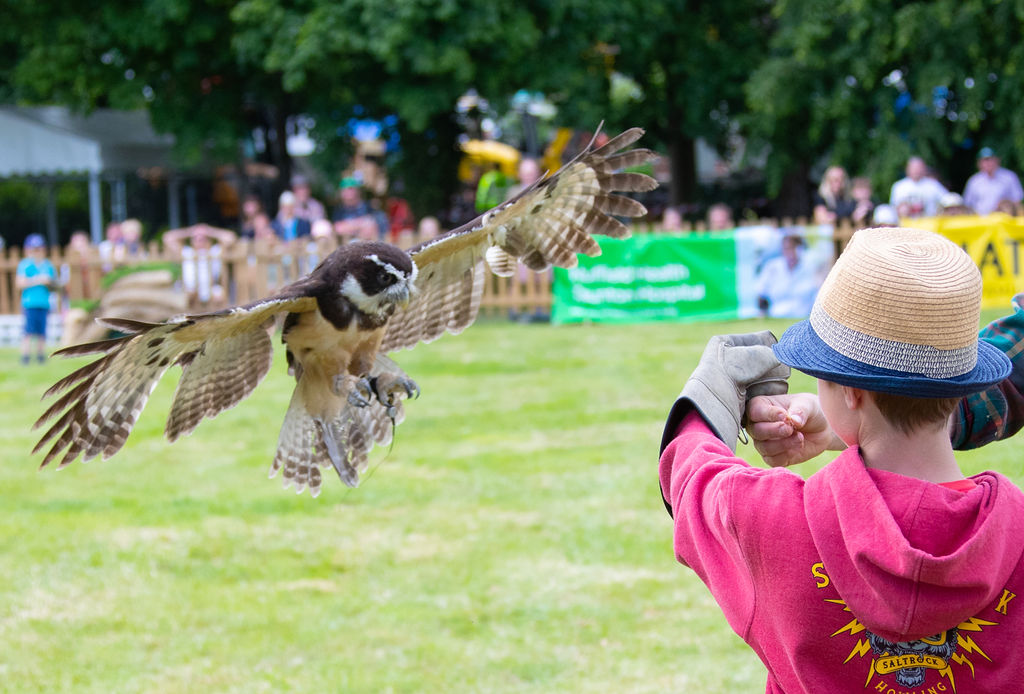 Outdoor Events - q5e2r3z1ttl.jpg