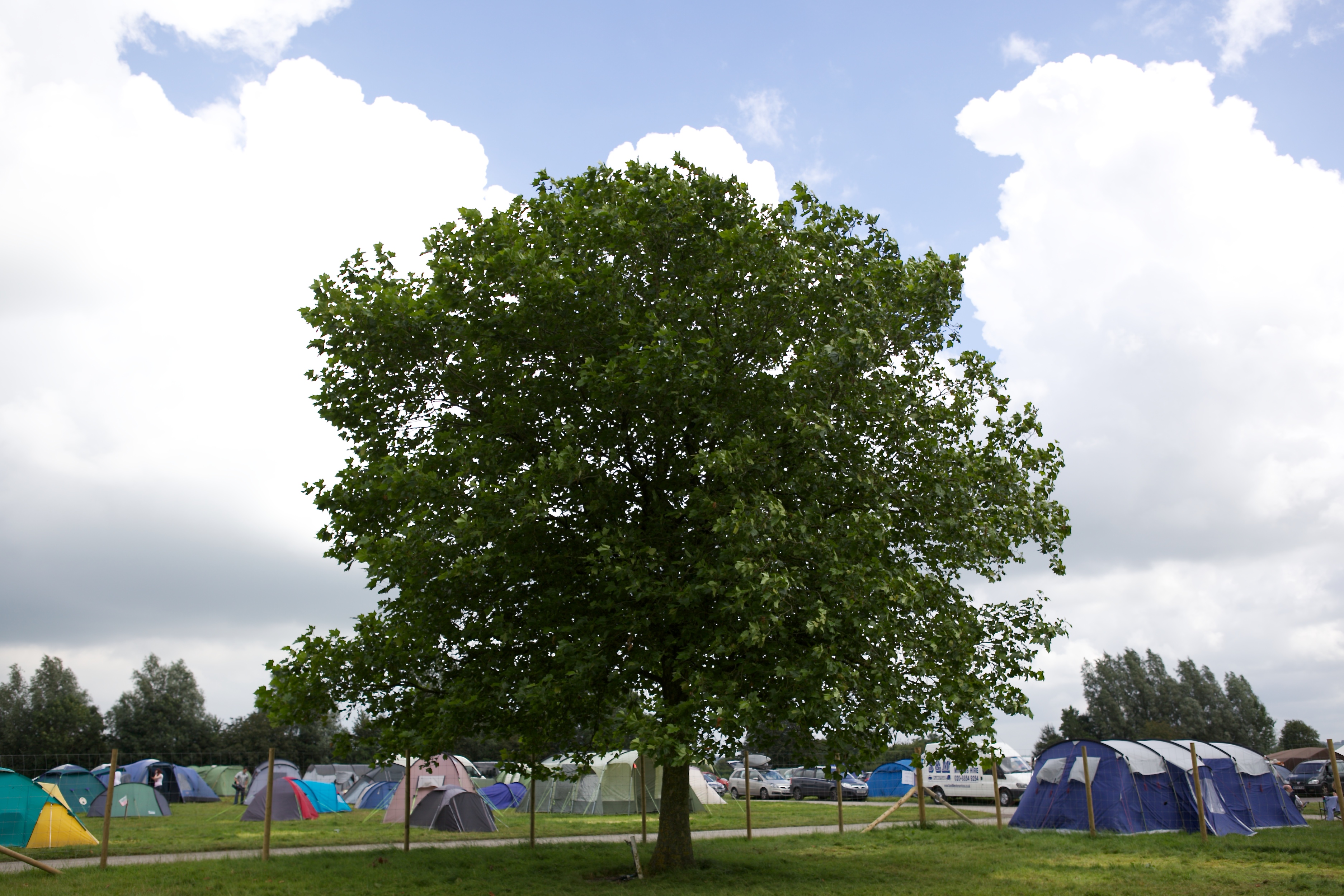 Outdoor events at Bath & West Showground with central tree and festival tents.