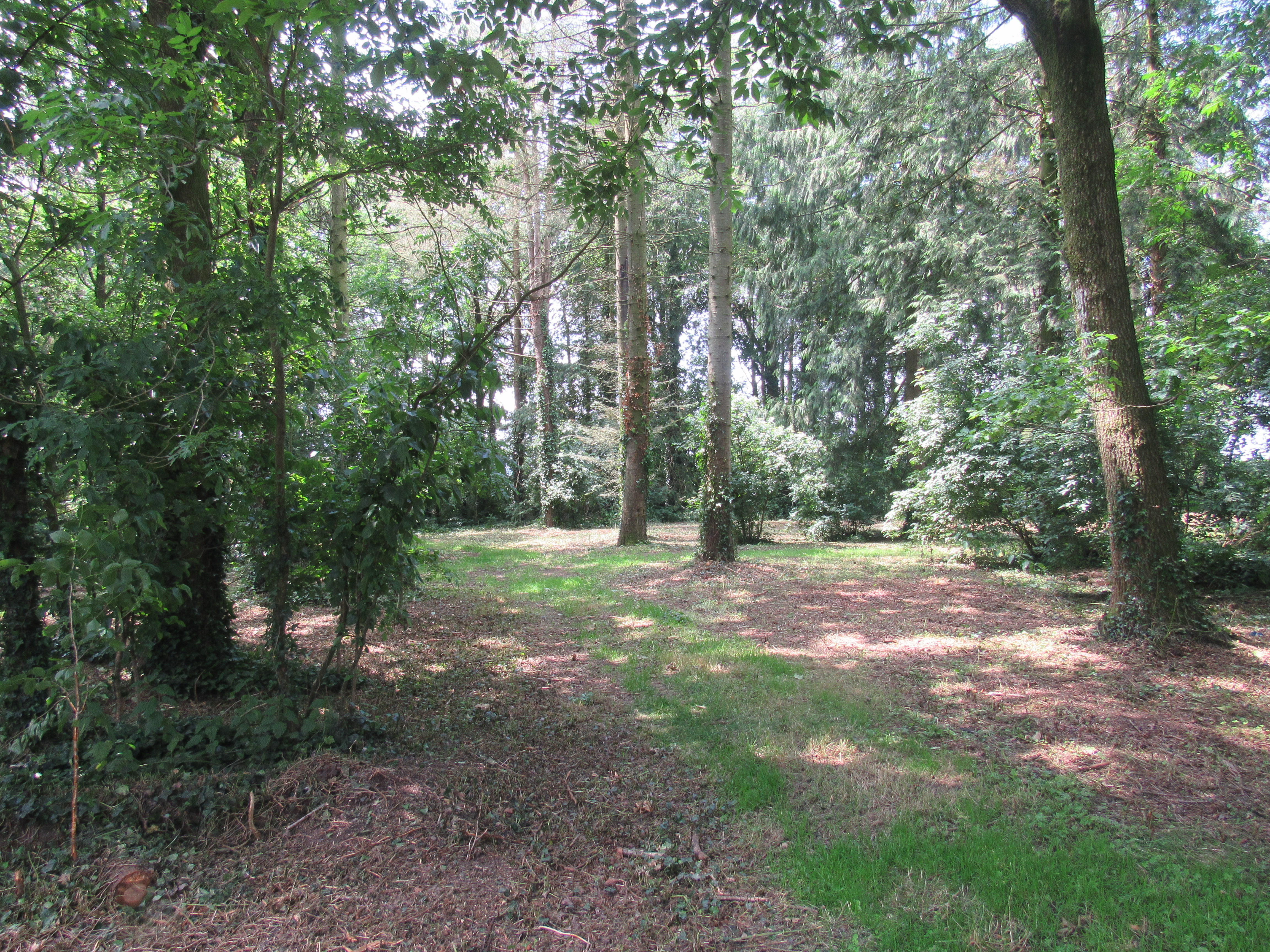 Outdoor team-building retreat in serene wooded area at Bath & West Showground.
