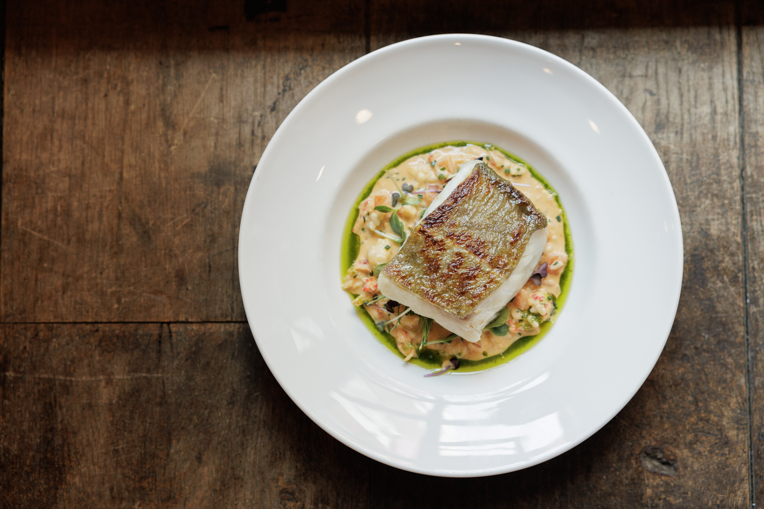 Plated fish with risotto at Bleeding Heart for events and culinary excellence.