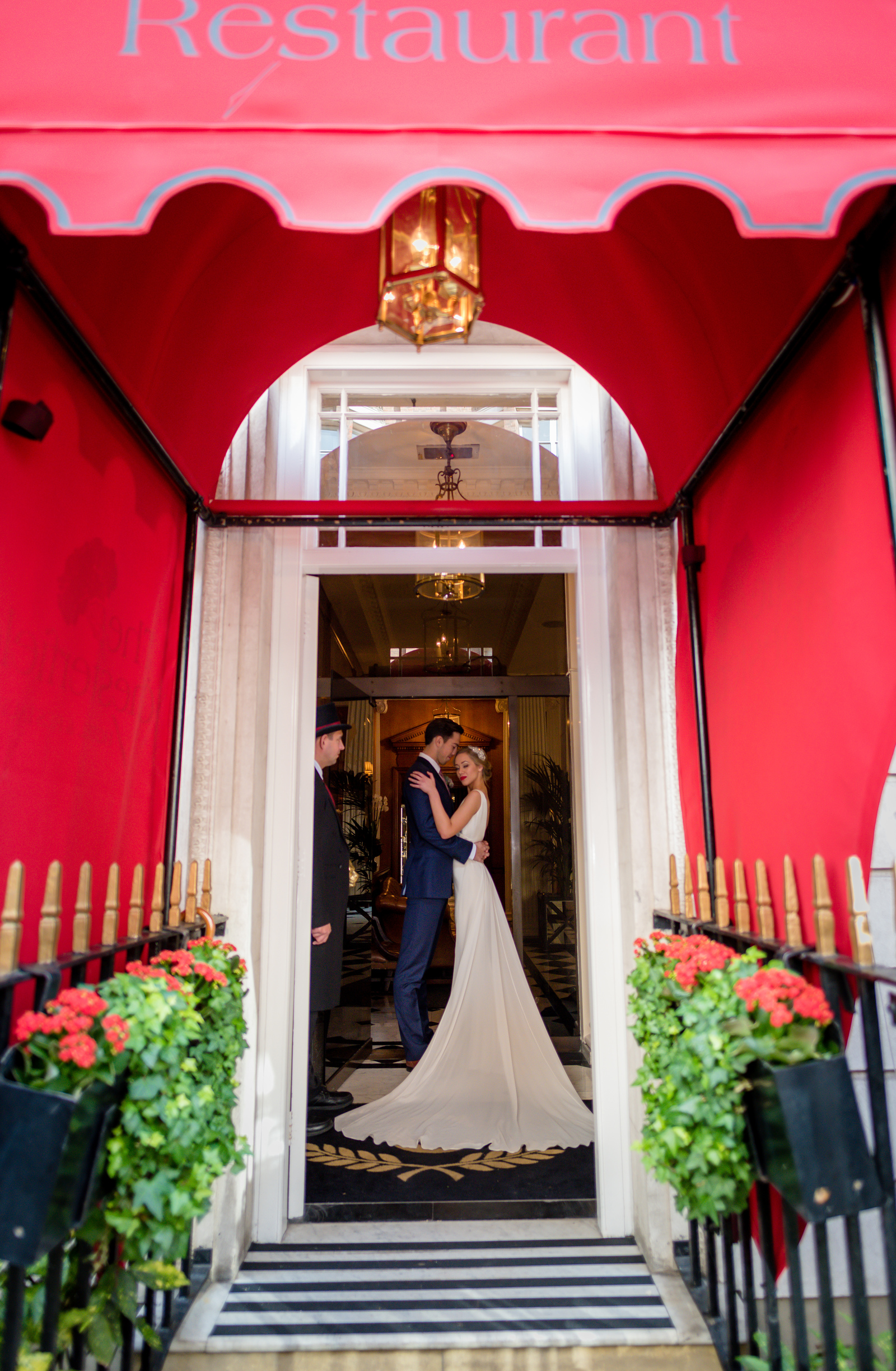 The Library - 2cowymqg2b3.jpg