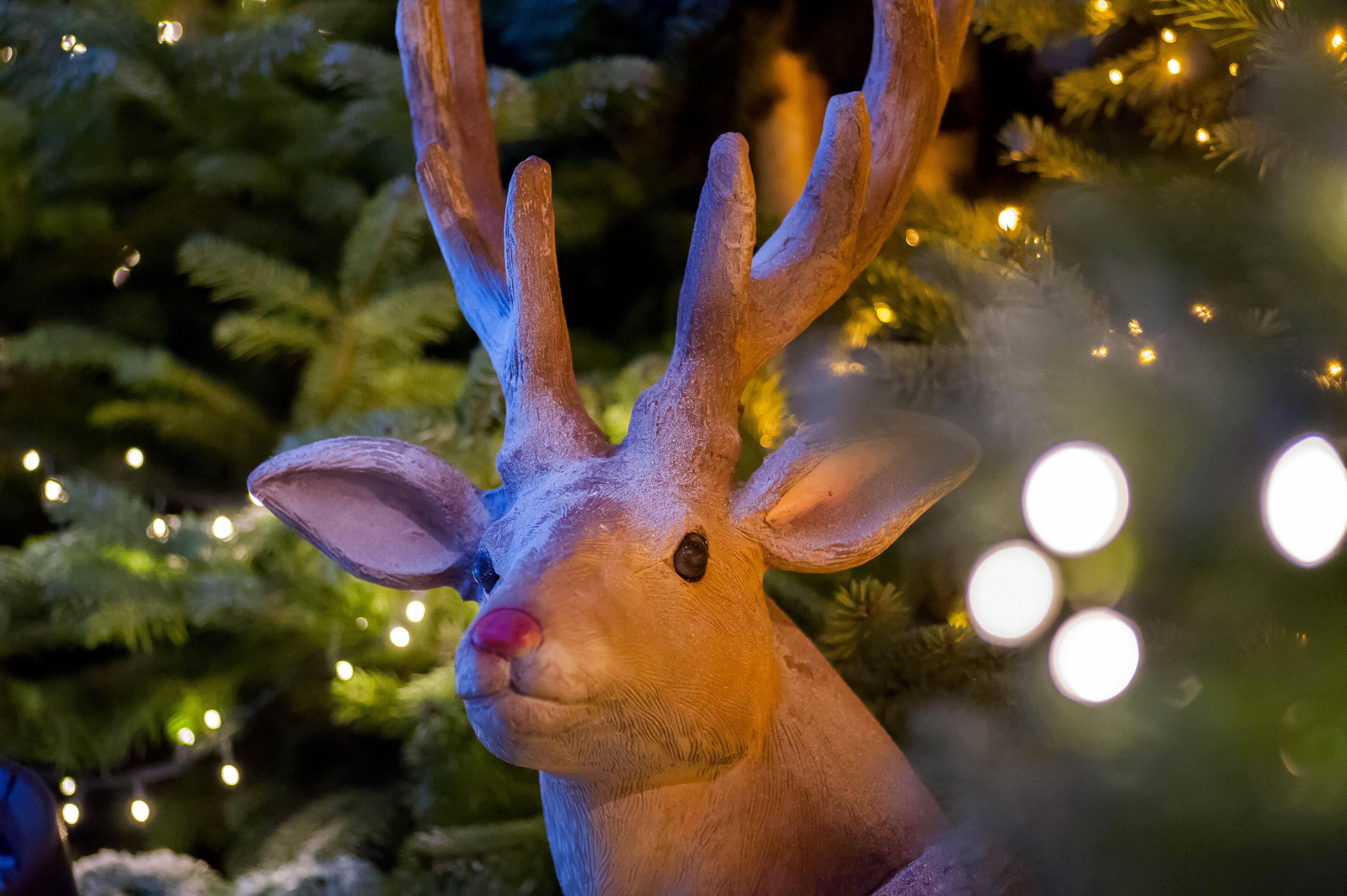 Reindeer figure at The Ski Lodge, festive decor for holiday events and gatherings.
