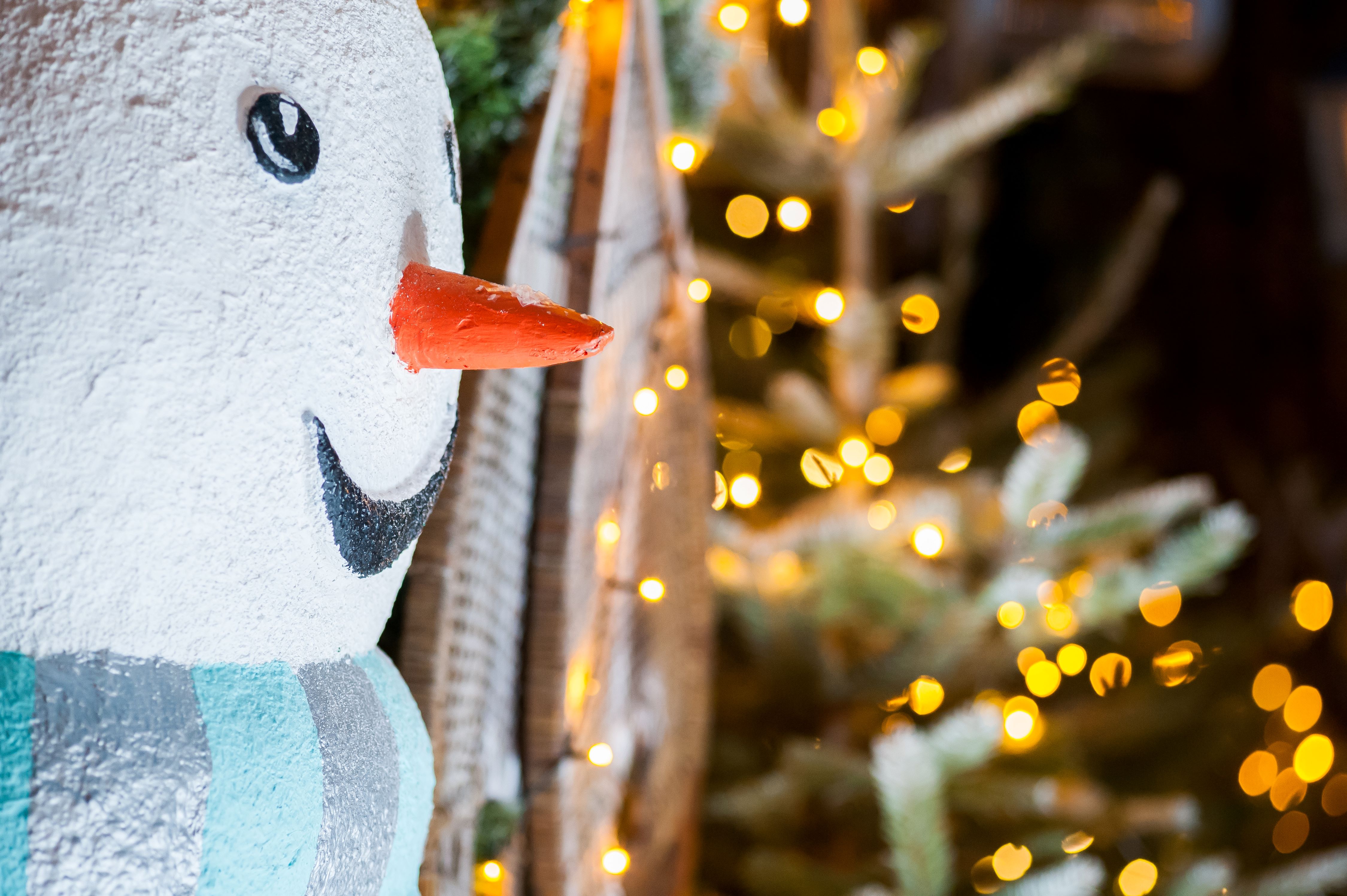 The Ski Lodge - tizzrykl34y.jpg