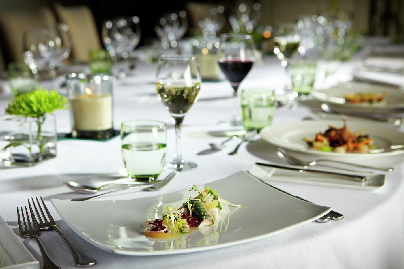 The Gallery - bbyzh3pohvd.jpg