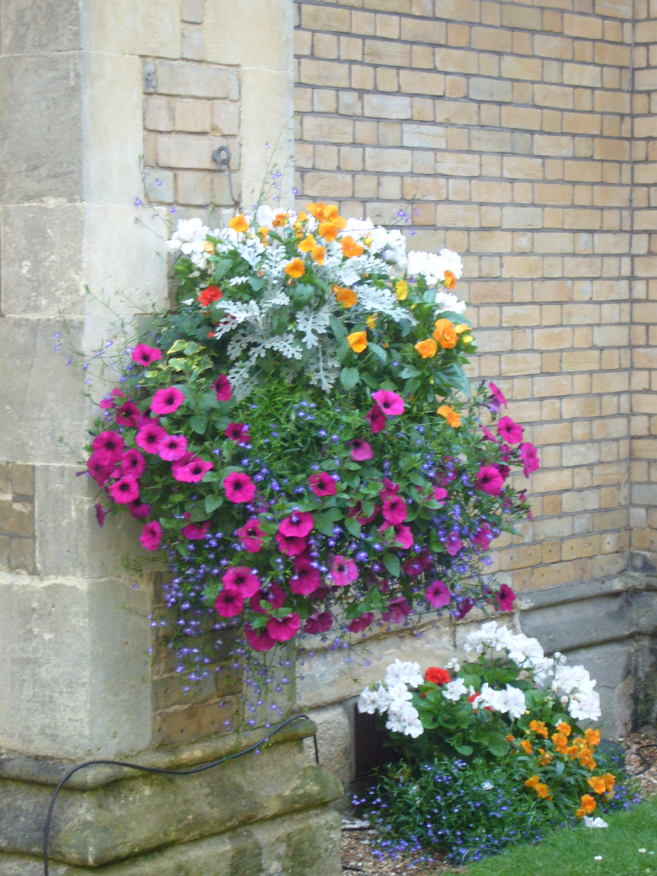 Garden - 1gzbbfswdv0.JPG