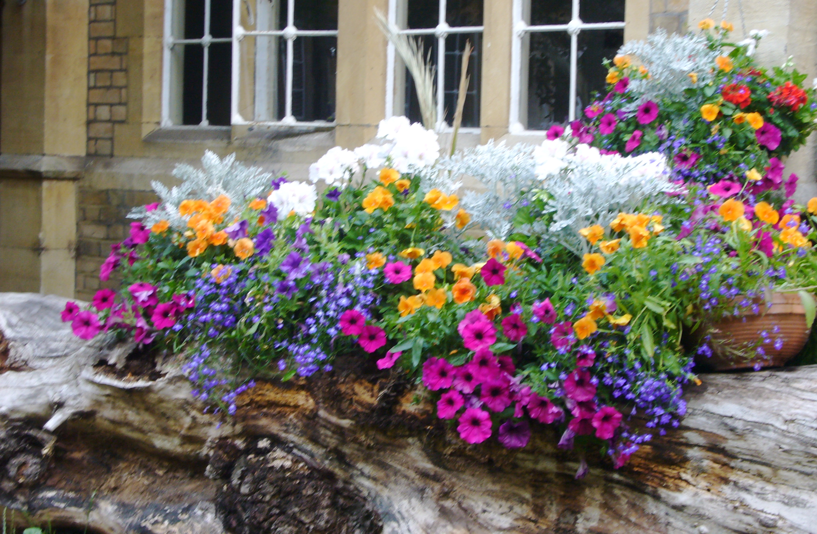 Vibrant floral display in Le Gothique garden, perfect for weddings and outdoor events.