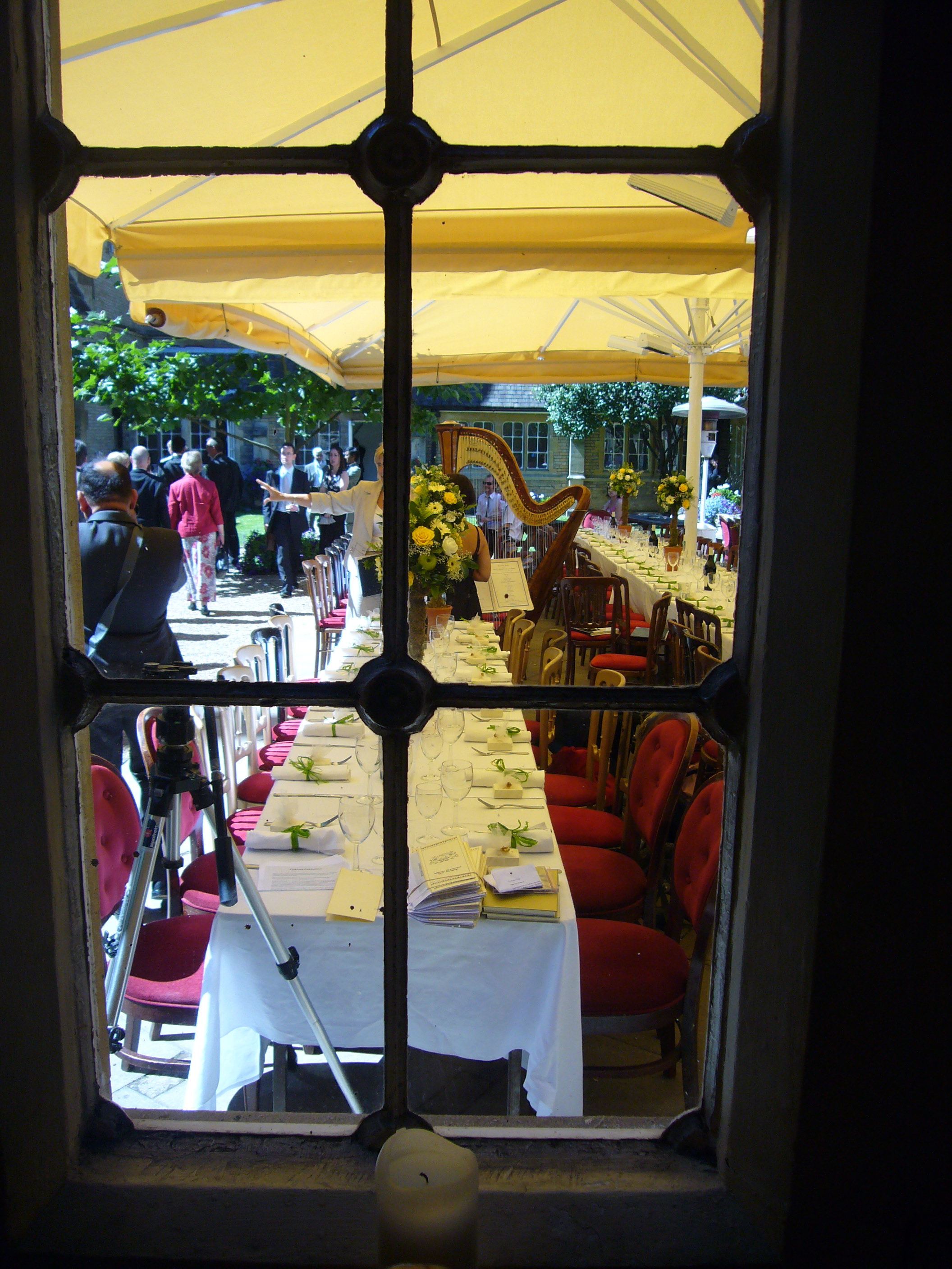 Garden - 1oo302dvhqk.JPG