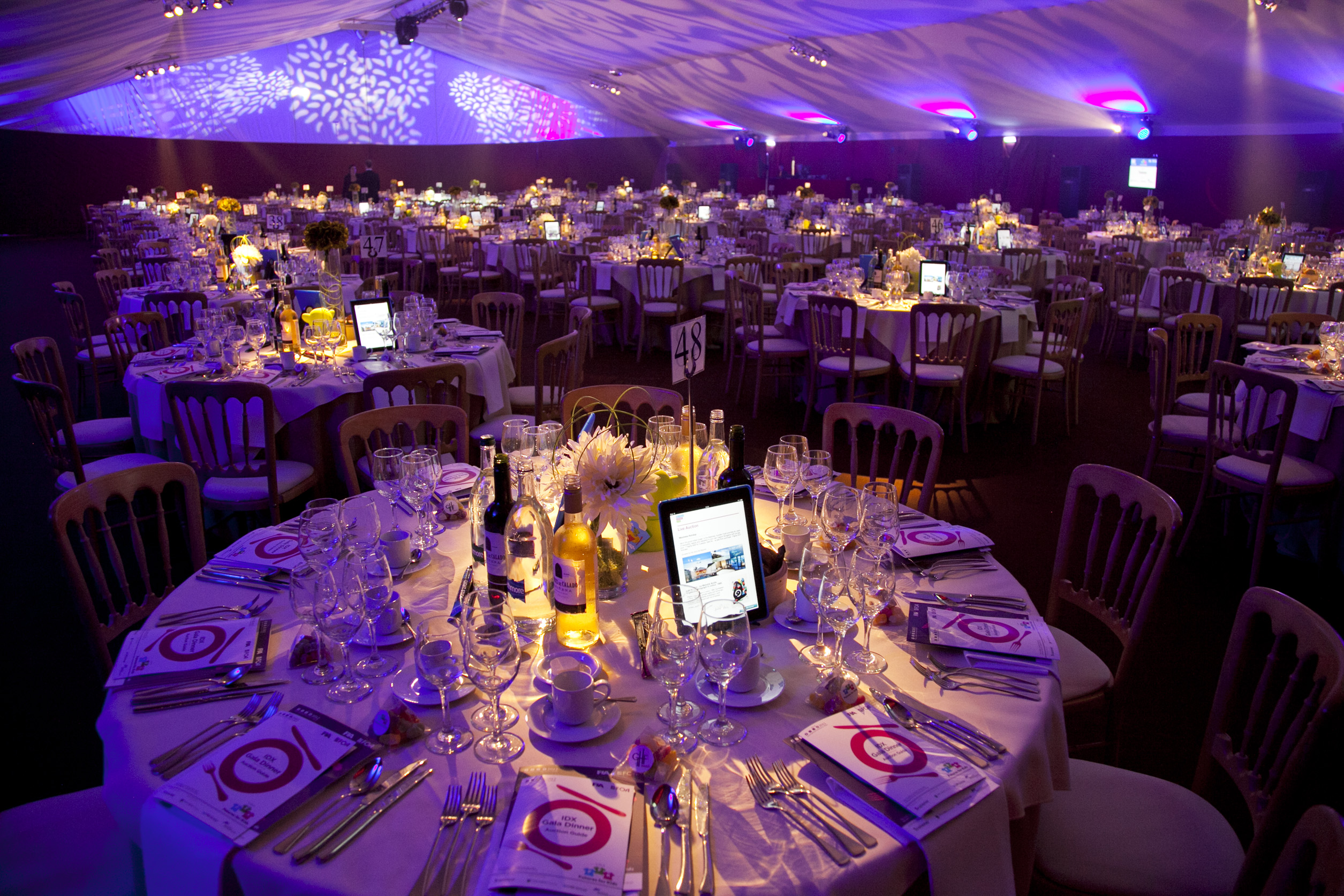 Artillery Garden - cnld323z4aa.jpg