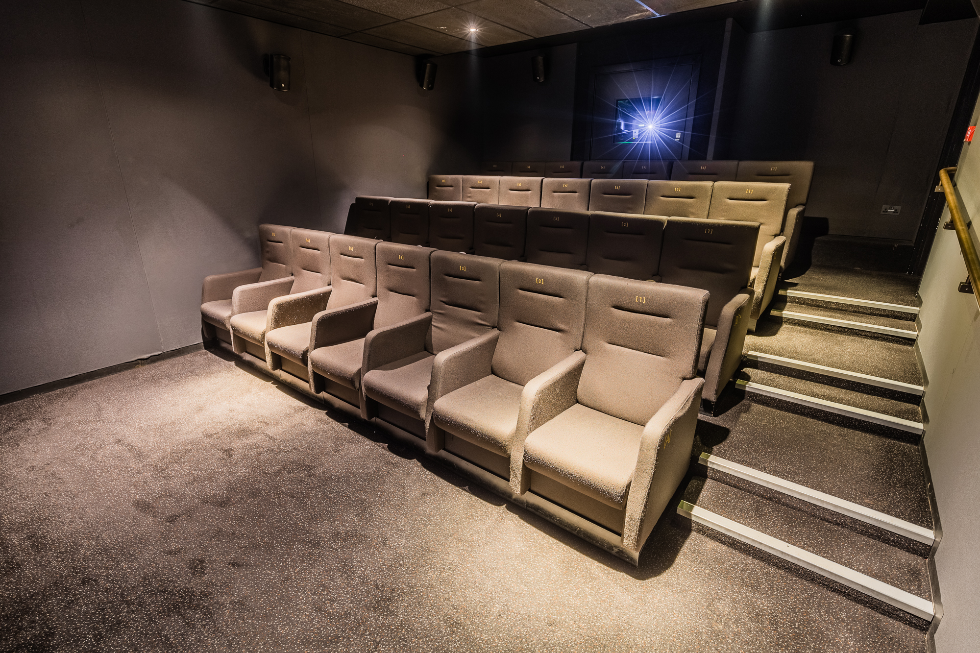 Intimate theater setup with plush seating for corporate events and film screenings.