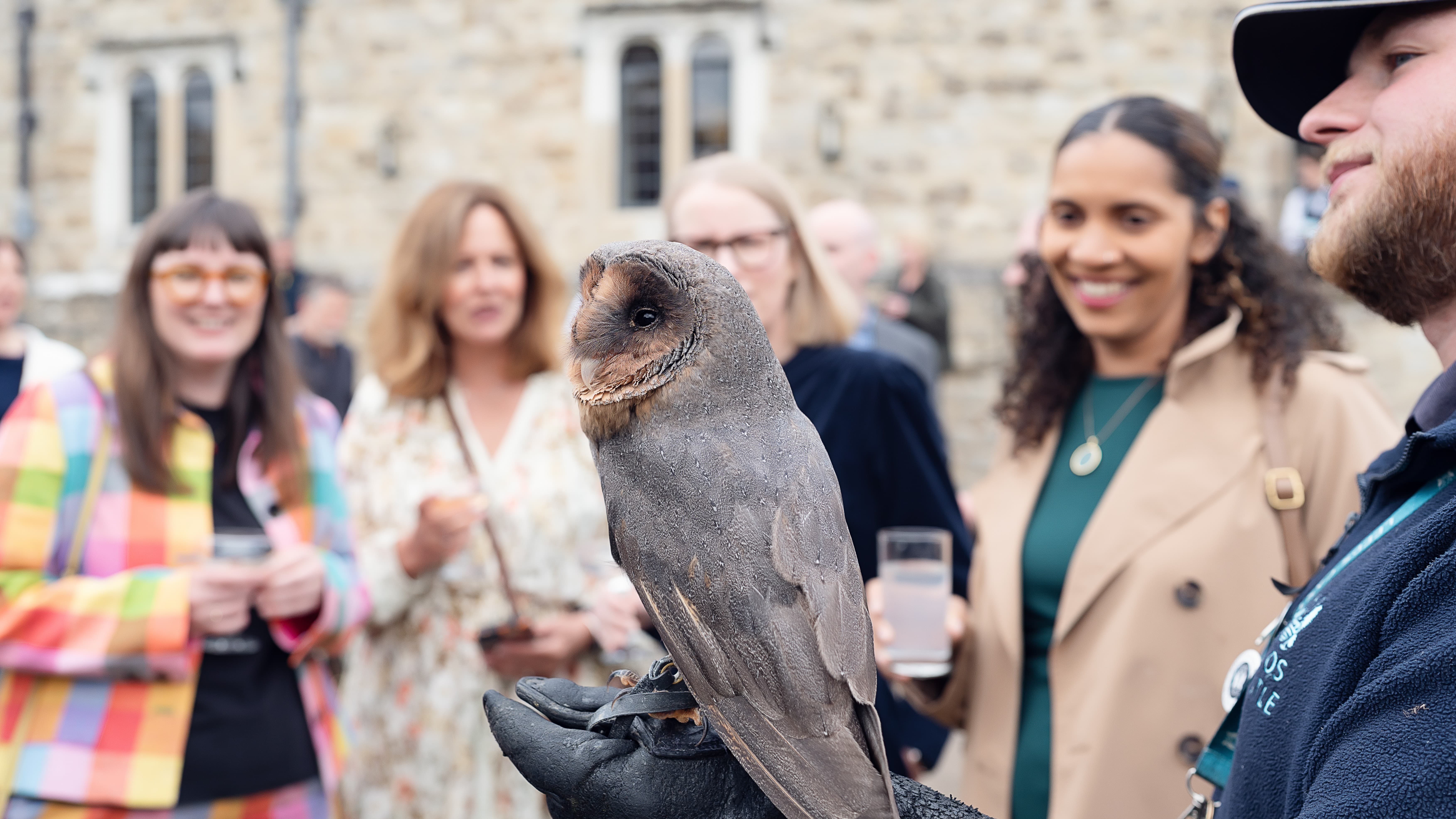 Leeds Castle - image 8