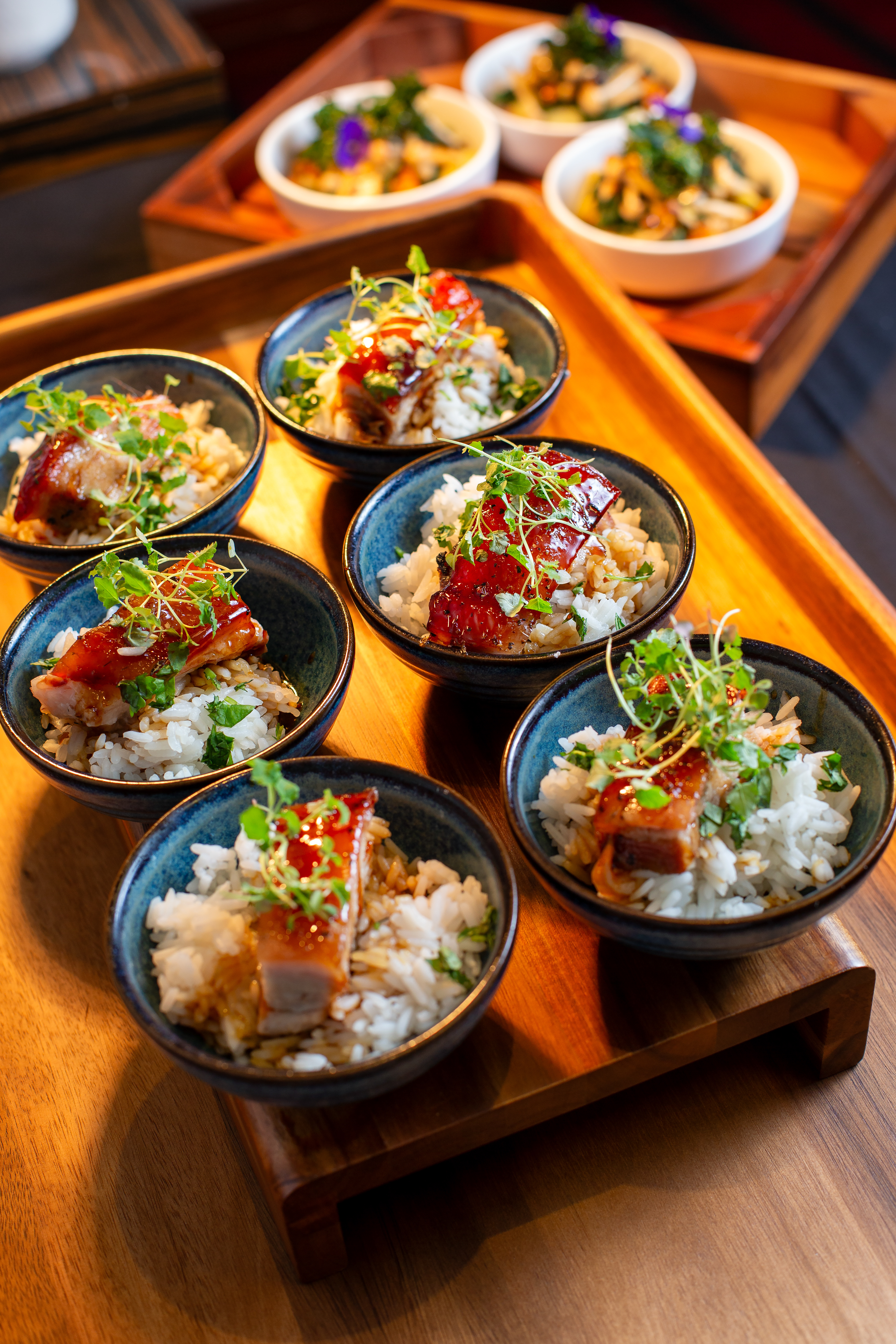 "Upscale catering in Windsor Suite, Holiday Inn: succulent meat with rice and herbs."