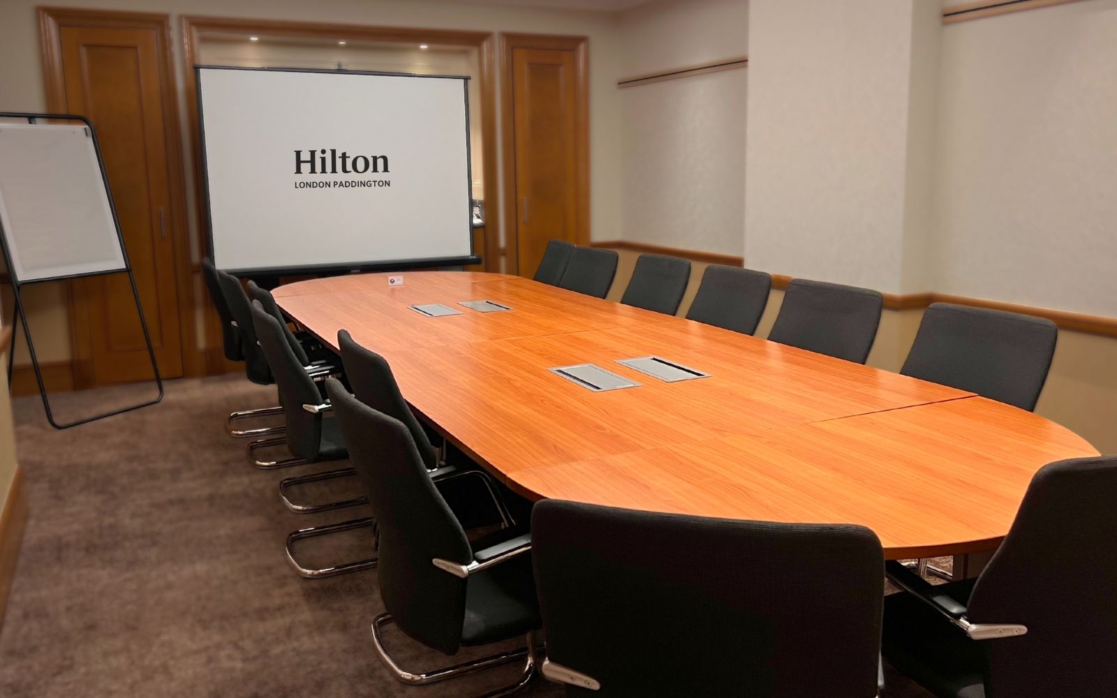 Kingfisher - bvtfkxp1lrz.jpg