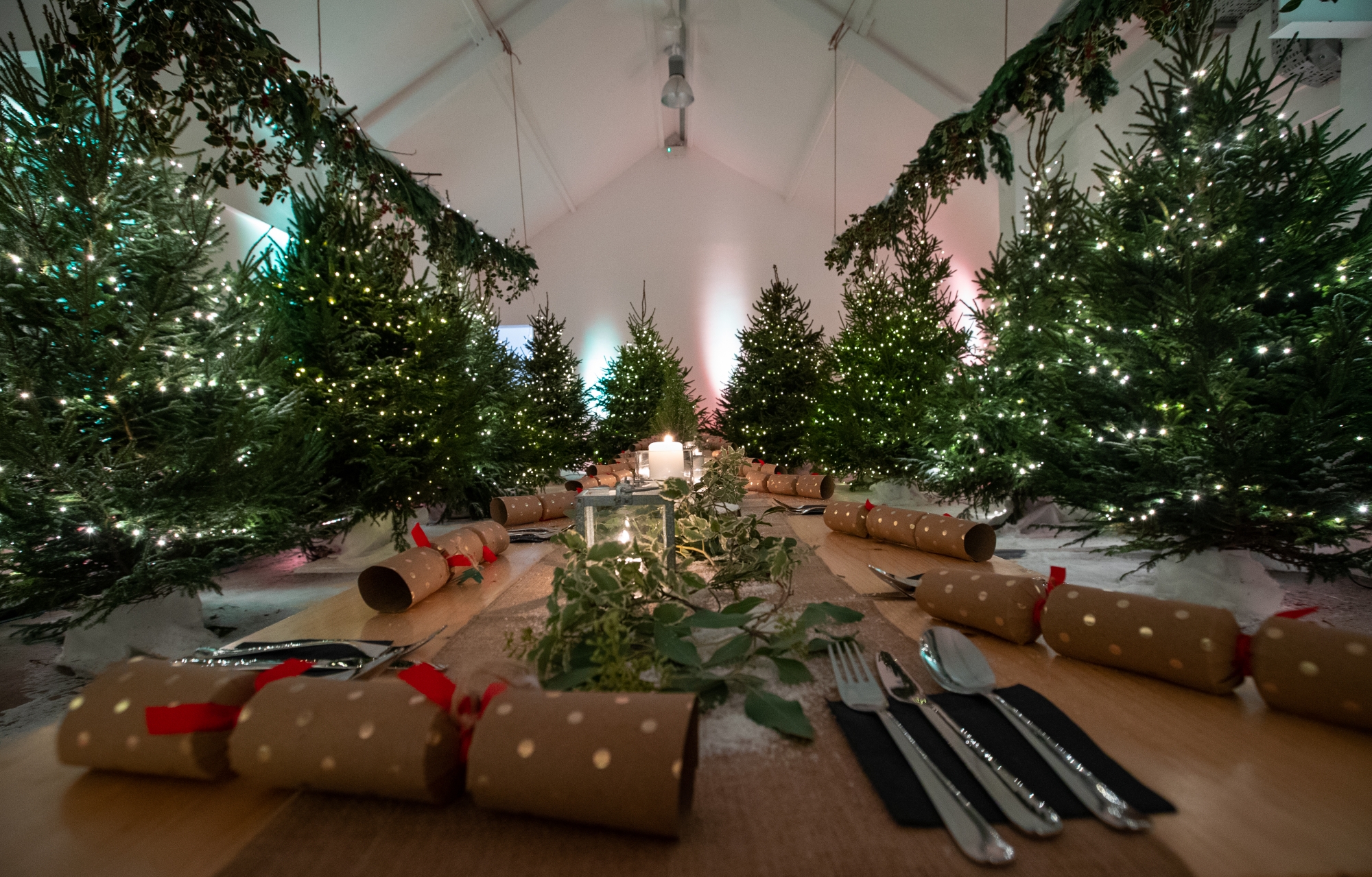 Elegant event space with festive table and Christmas trees for holiday celebrations.