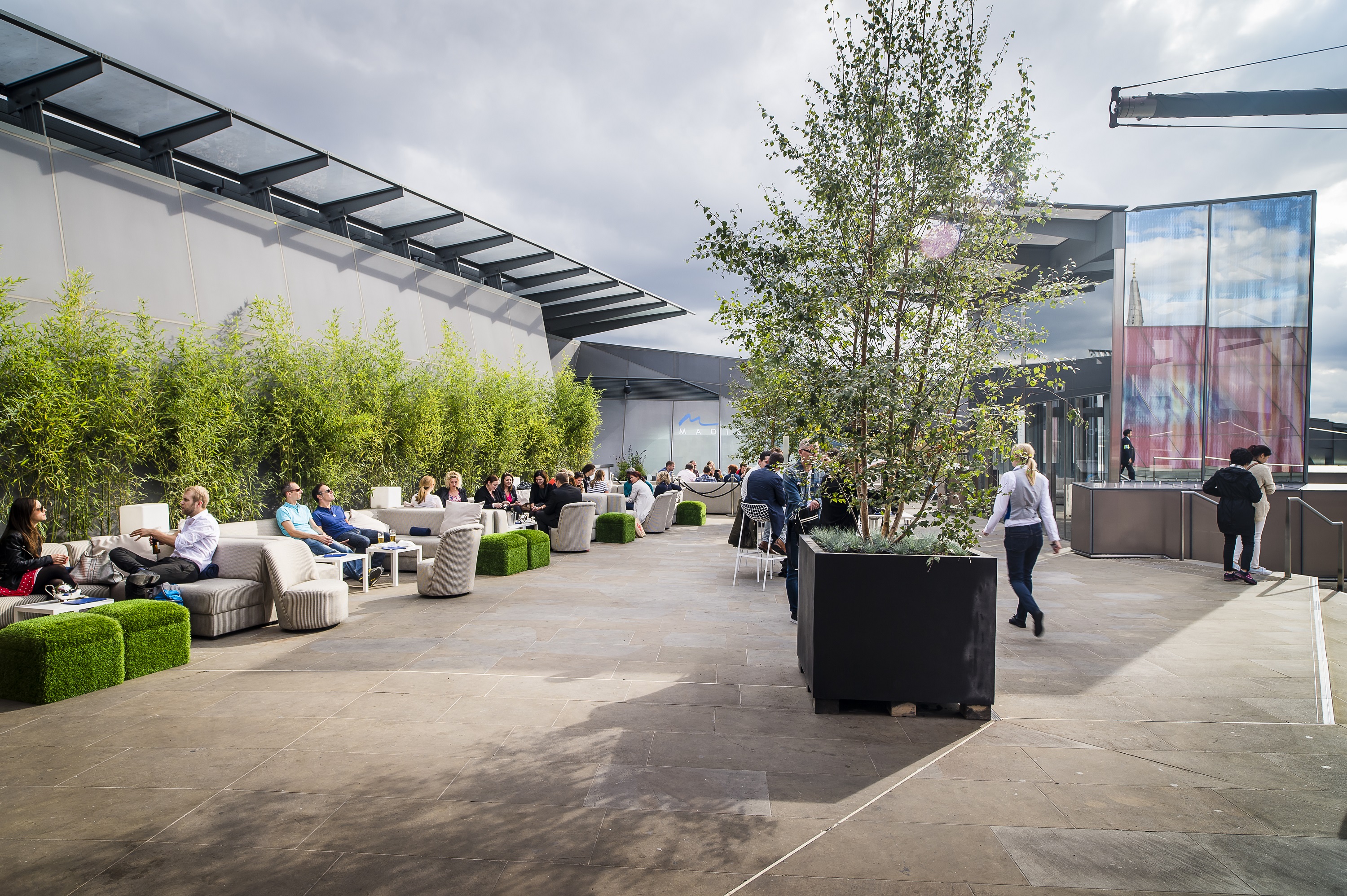 Stylish rooftop event space in Madison with greenery, ideal for networking and gatherings.