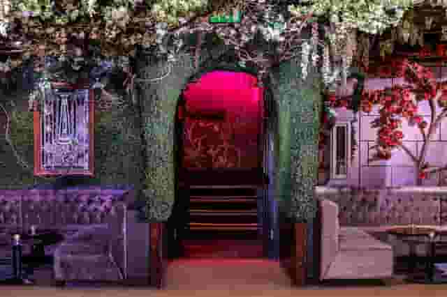The Cuckoo Club
