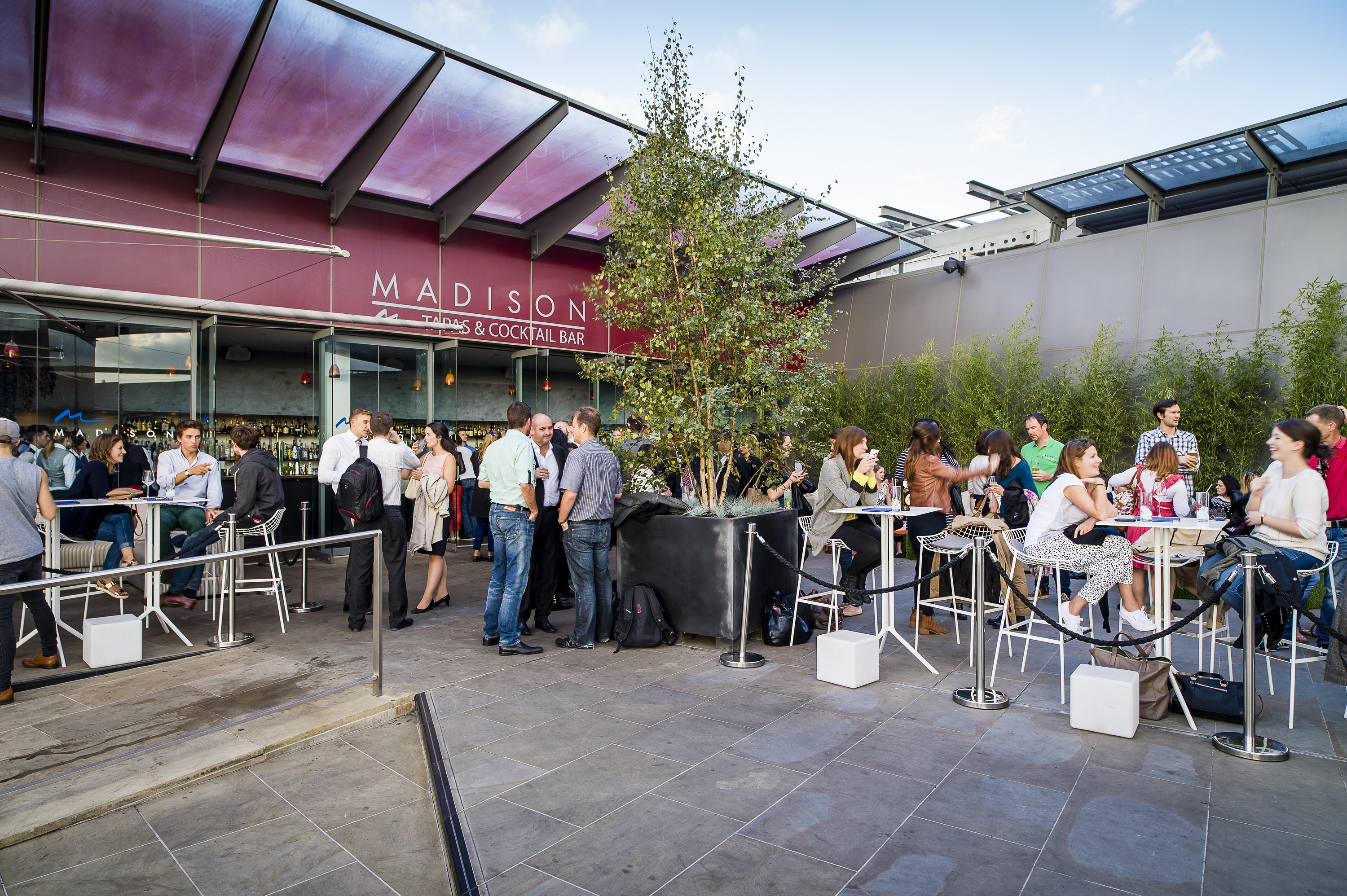 Vibrant outdoor event space with greenery for networking and social gatherings in Madison.