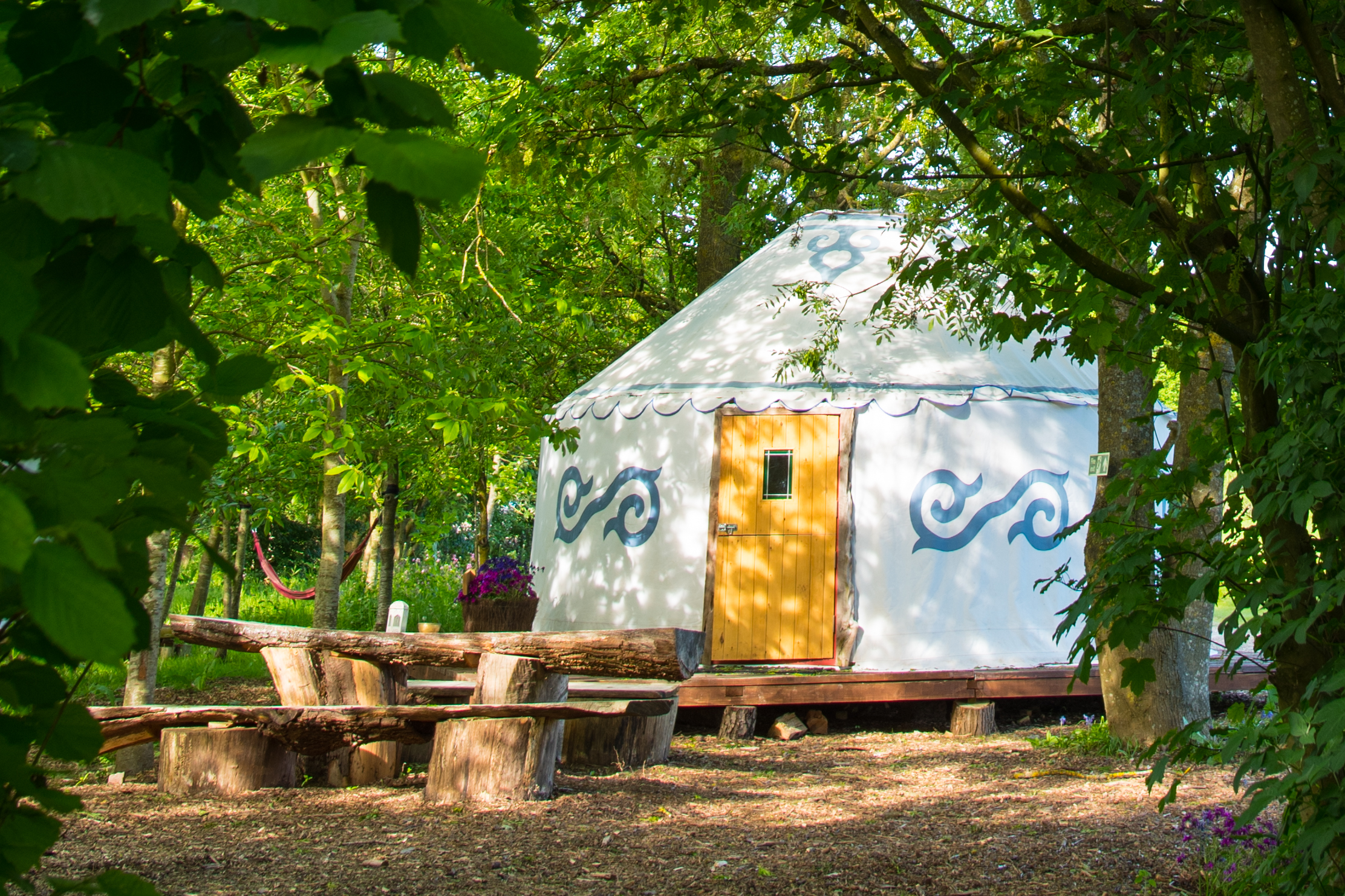 Charming yurt venue for outdoor weddings and retreats in lush green setting.