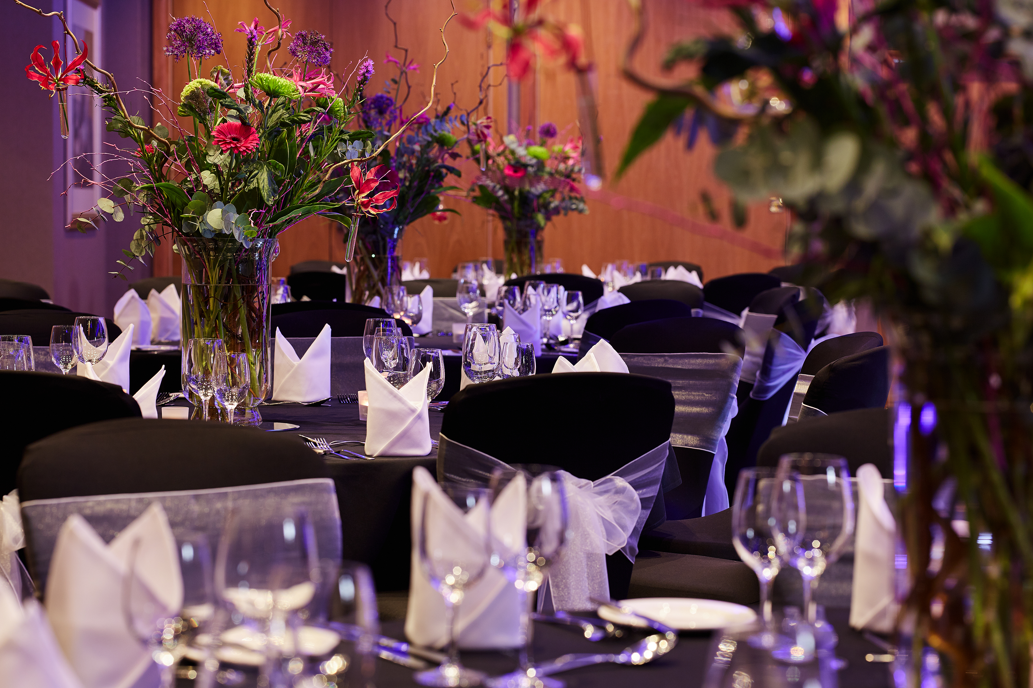 Thames Suite - jjonmdlacce.jpg