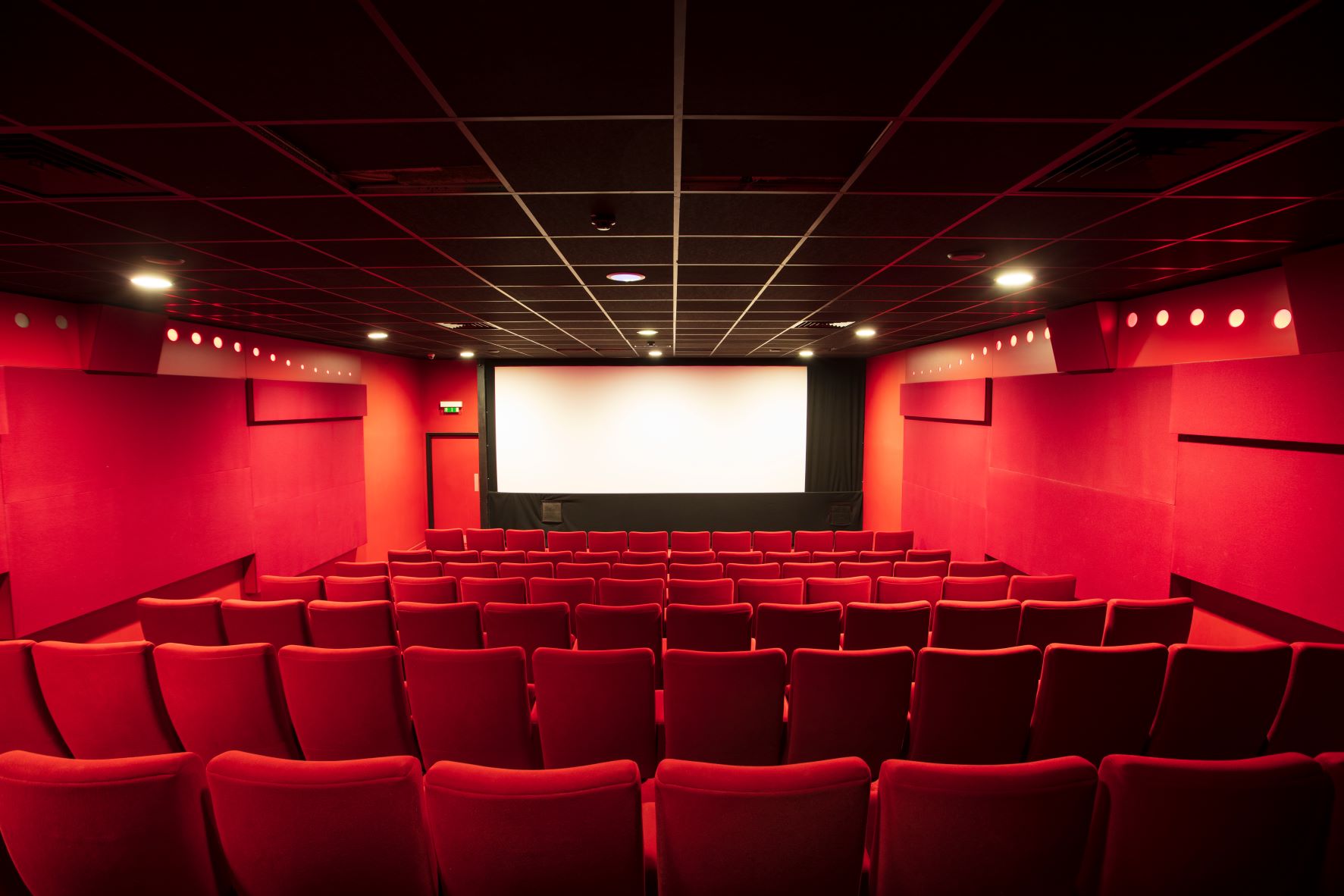 Modern cinema with plush red seating, ideal for private screenings and corporate events.