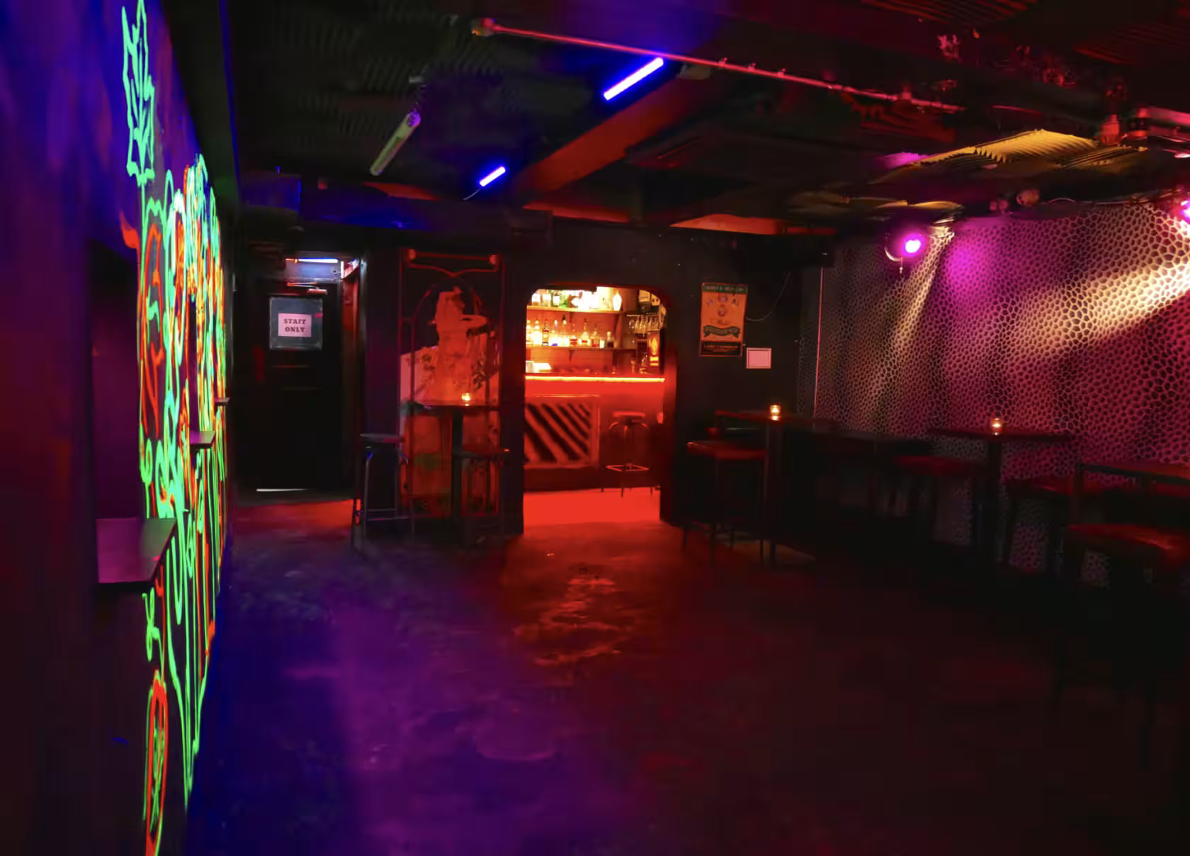 Vibrant event space at The BSMT in Ladybird Bar, perfect for gatherings and celebrations.