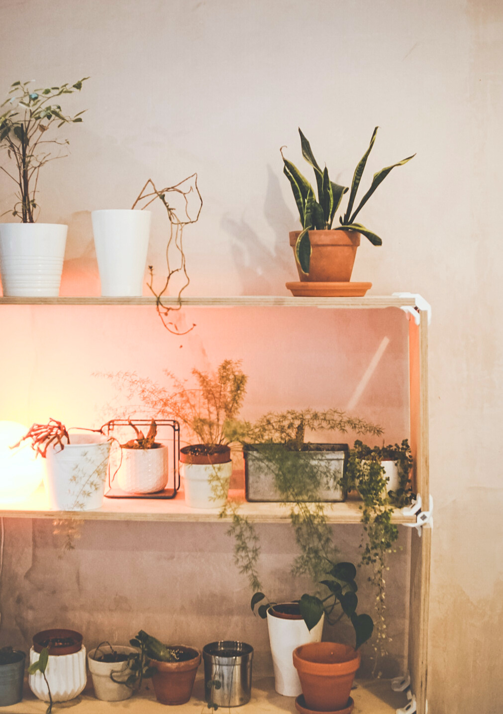 Stylish meeting room with potted plants for networking events and breakout sessions.