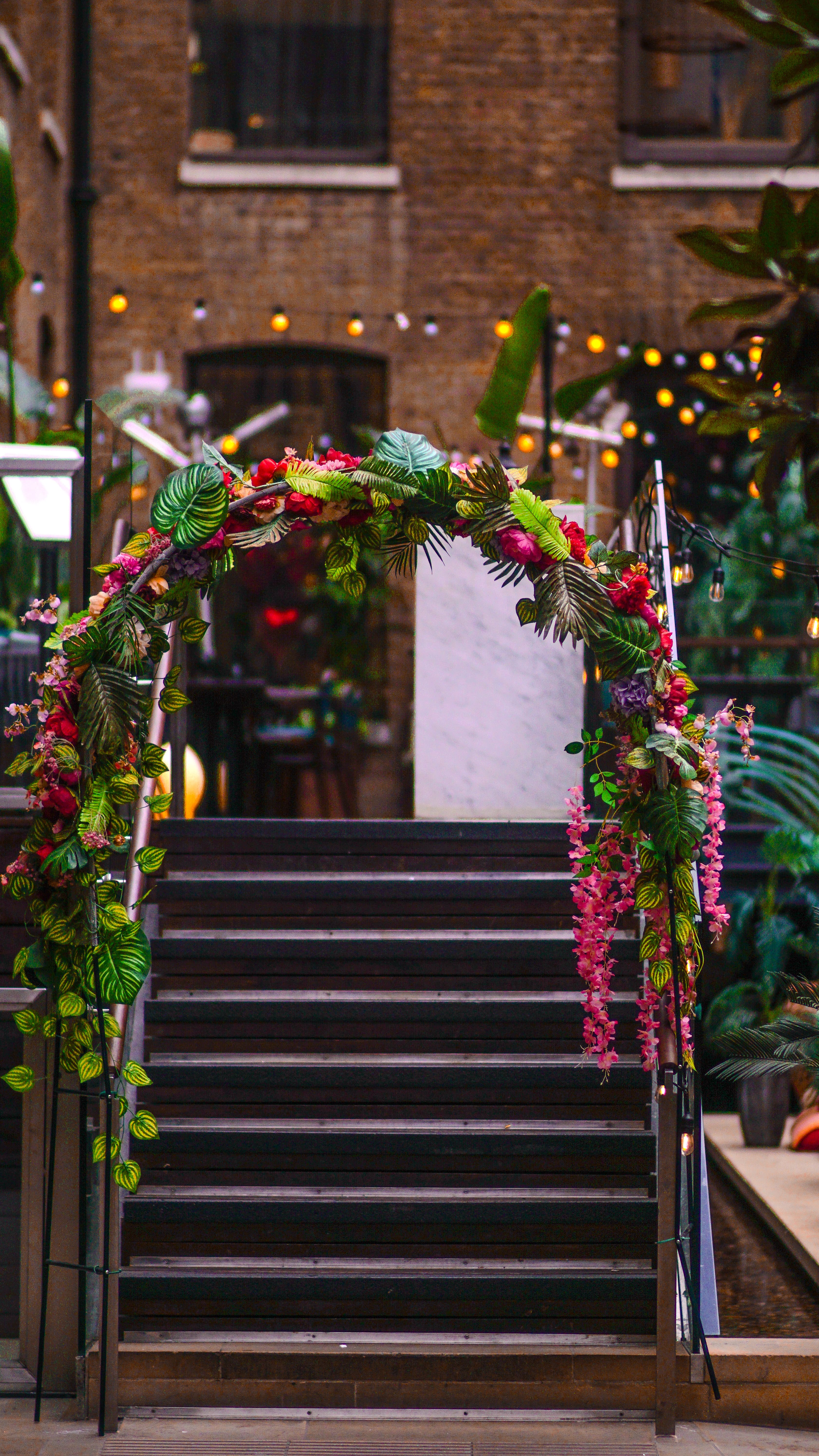 Upper Terrace - 3mm03dei34v.JPG