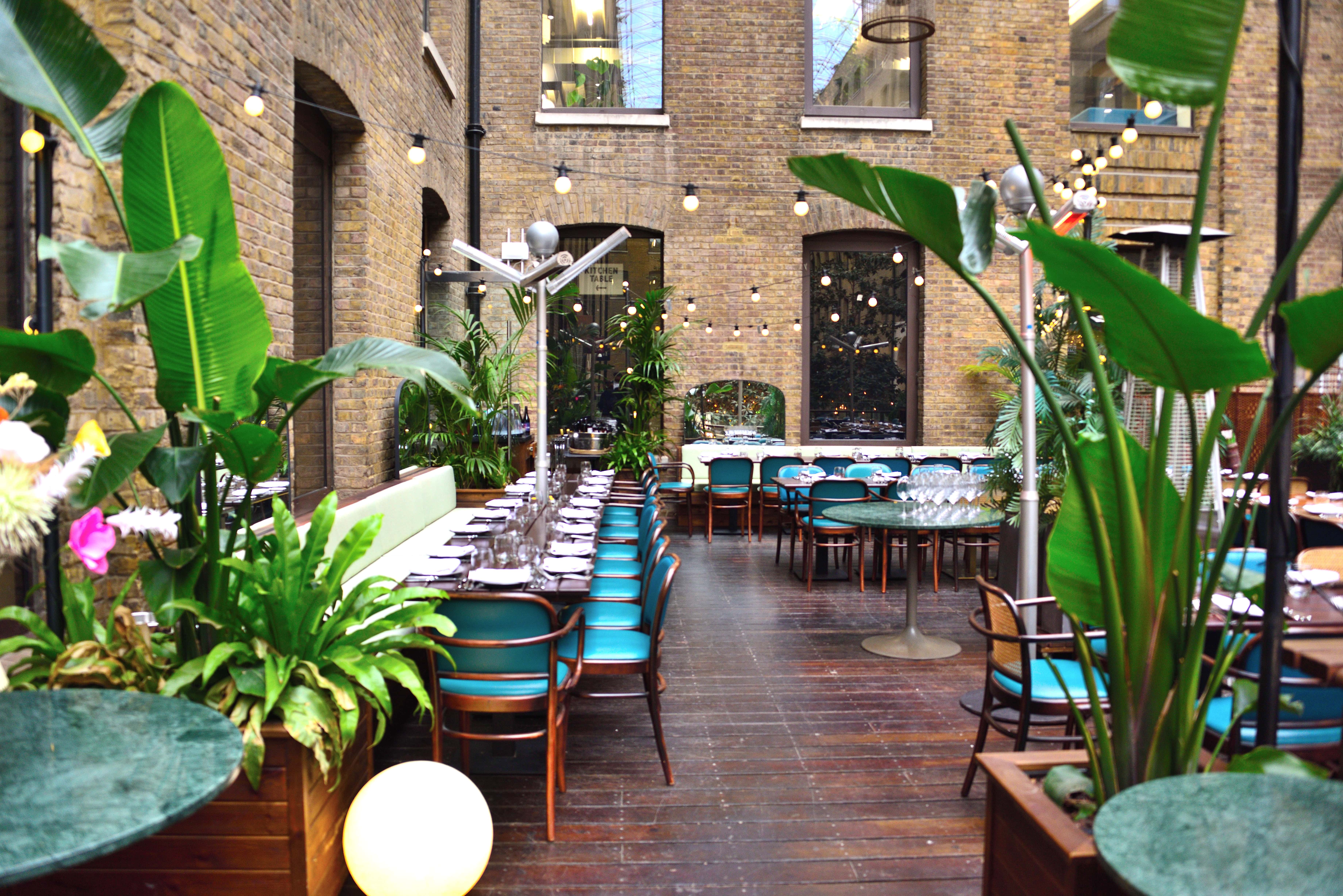 Upper Terrace - fzlfgjsj4kn.JPG