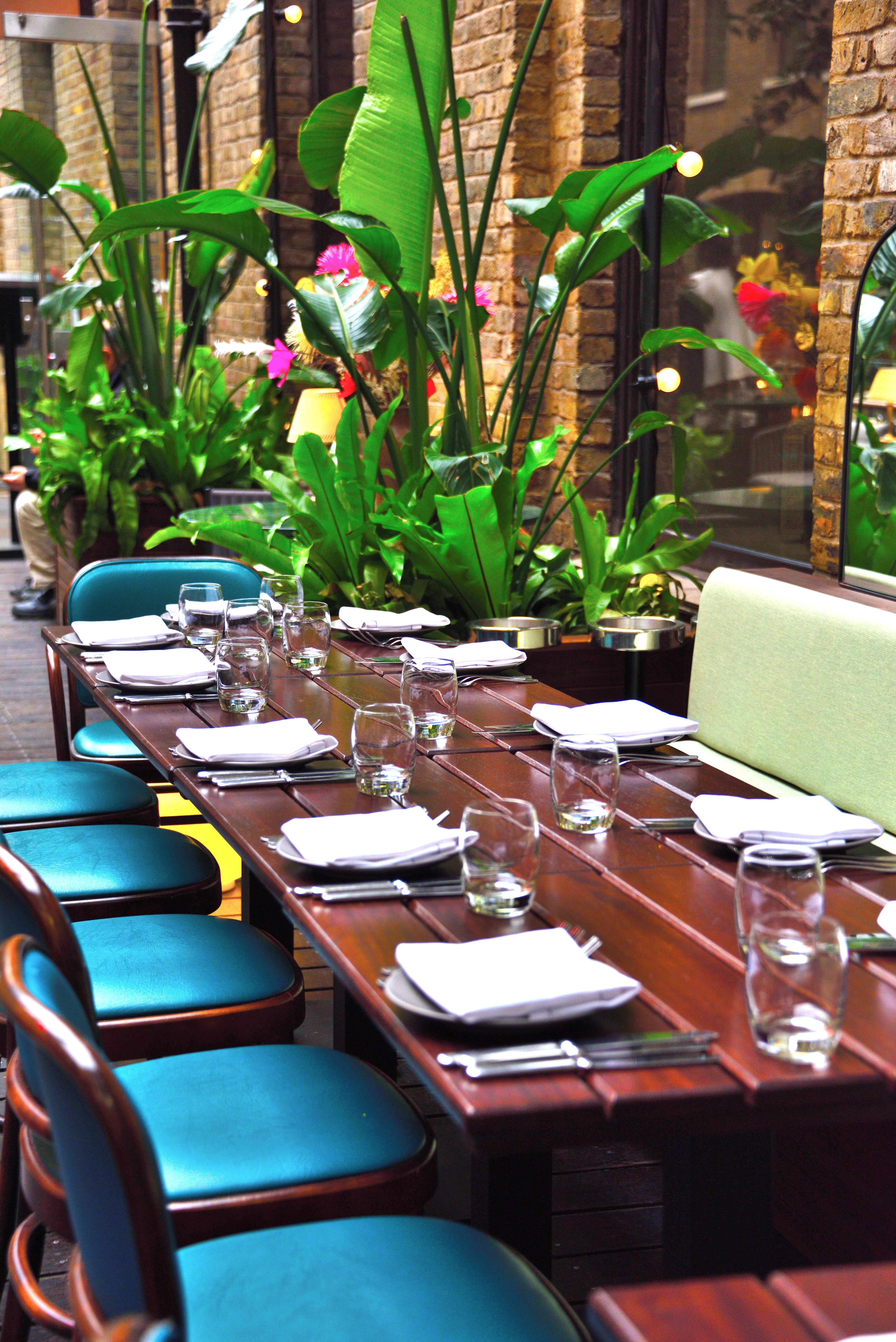 Upper Terrace - hk3pdbxr3kv.JPG