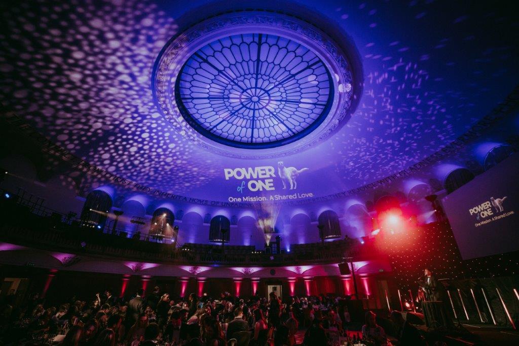 Assembly Hall - tn3a531zdfh.jpg