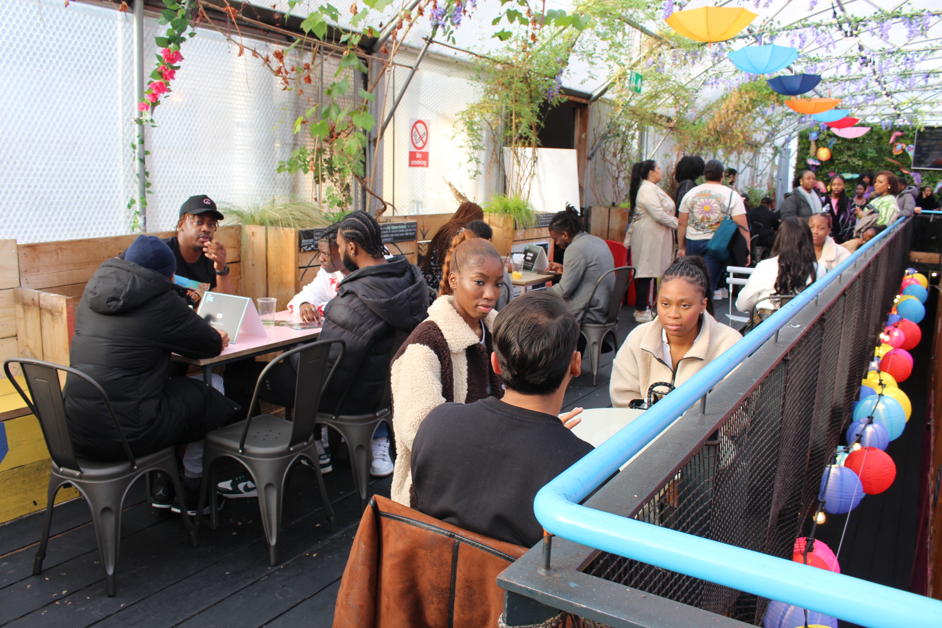 The Greenhouse - z4giooy1igd.jpeg