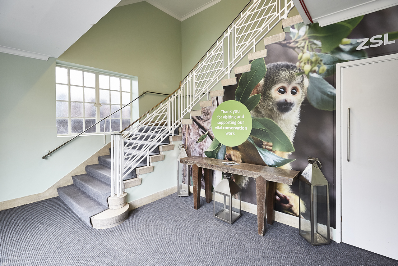 Prince Albert Suite entrance with monkey mural, perfect for events at ZSL London Zoo.