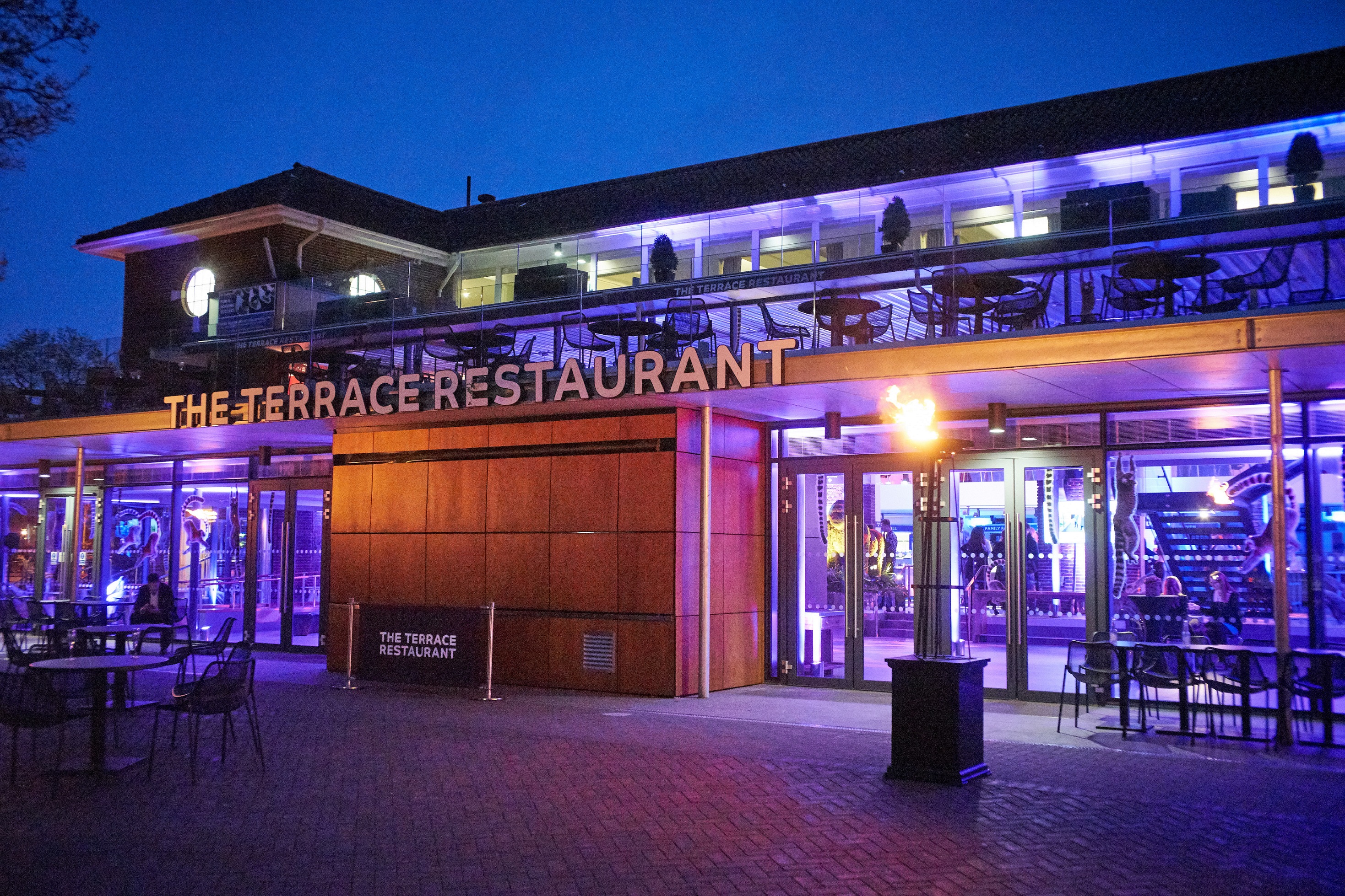 The Terrace  - t0o5o0vx45n.jpg