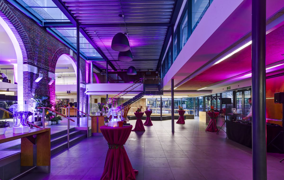 The Terrace  - xonwkkfarwf.JPG