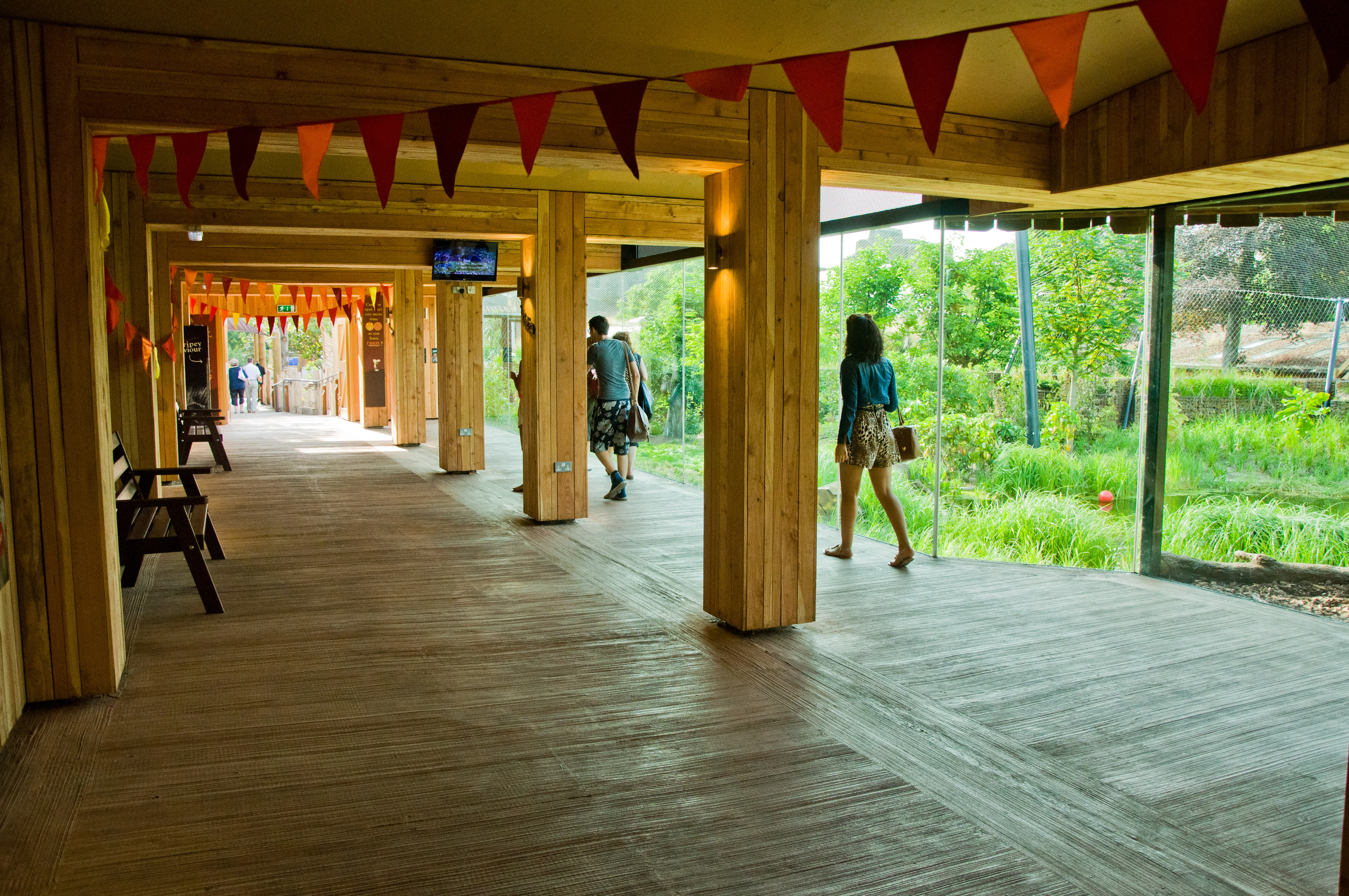 Animal Houses - 085c997e-7c46-46ad-99b6-0f6b93cf983a.jpg