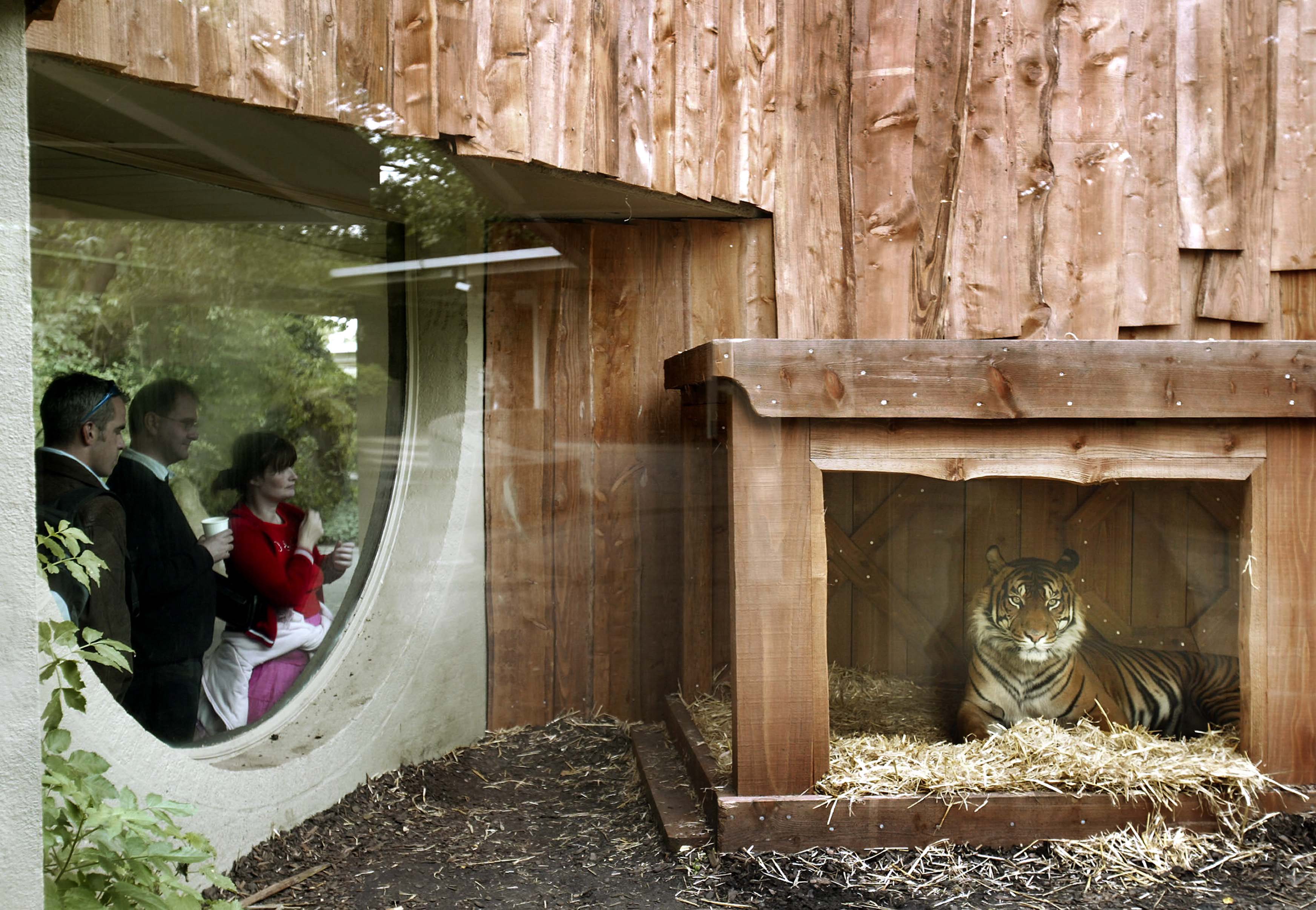 Animal Houses - 3dc3b405-3325-4964-984c-f74b520af18e.jpg