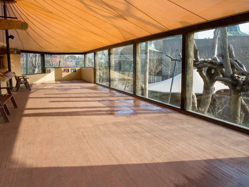 Animal Houses - cf15e4fe-bb75-4b9e-b424-ca897e3ba16d.jpg